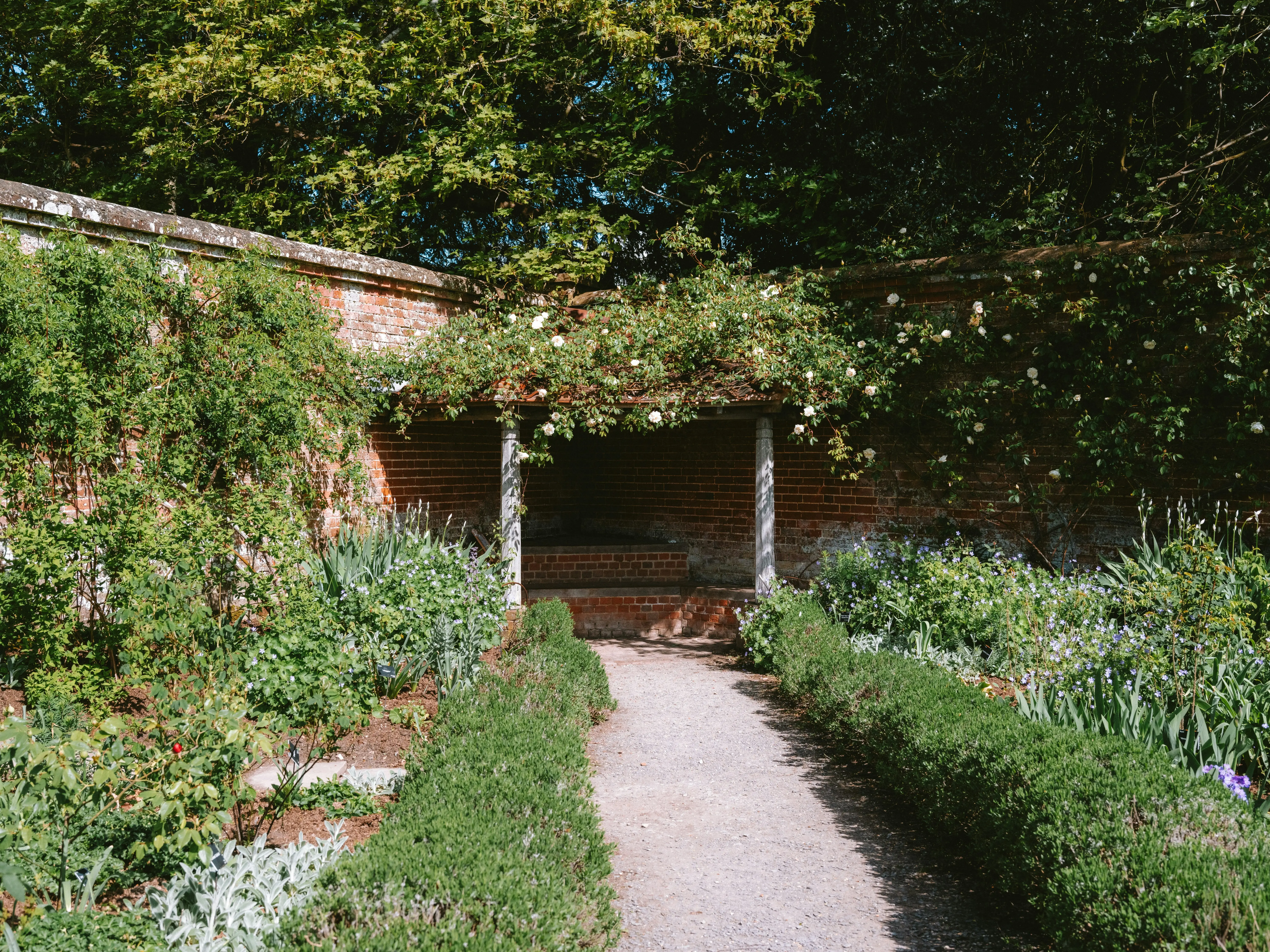 Raised Bed Trellis : 7 Brilliant Designs for Your Garden