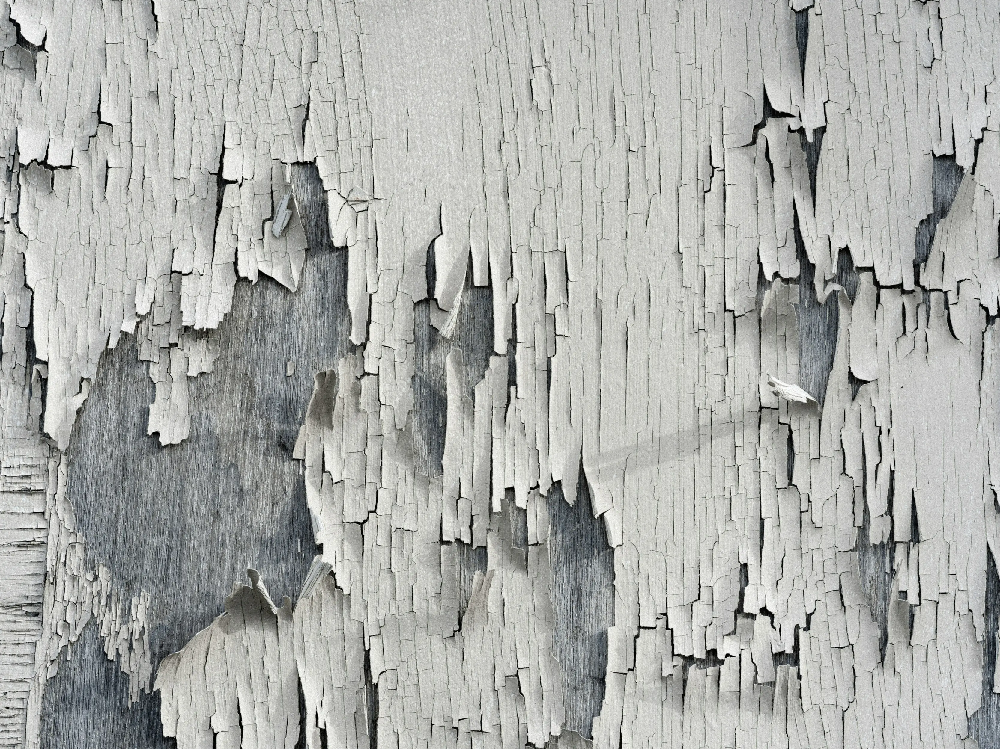 Paint Chip Repair : 5 Amazing Fixes for Car Scratches
