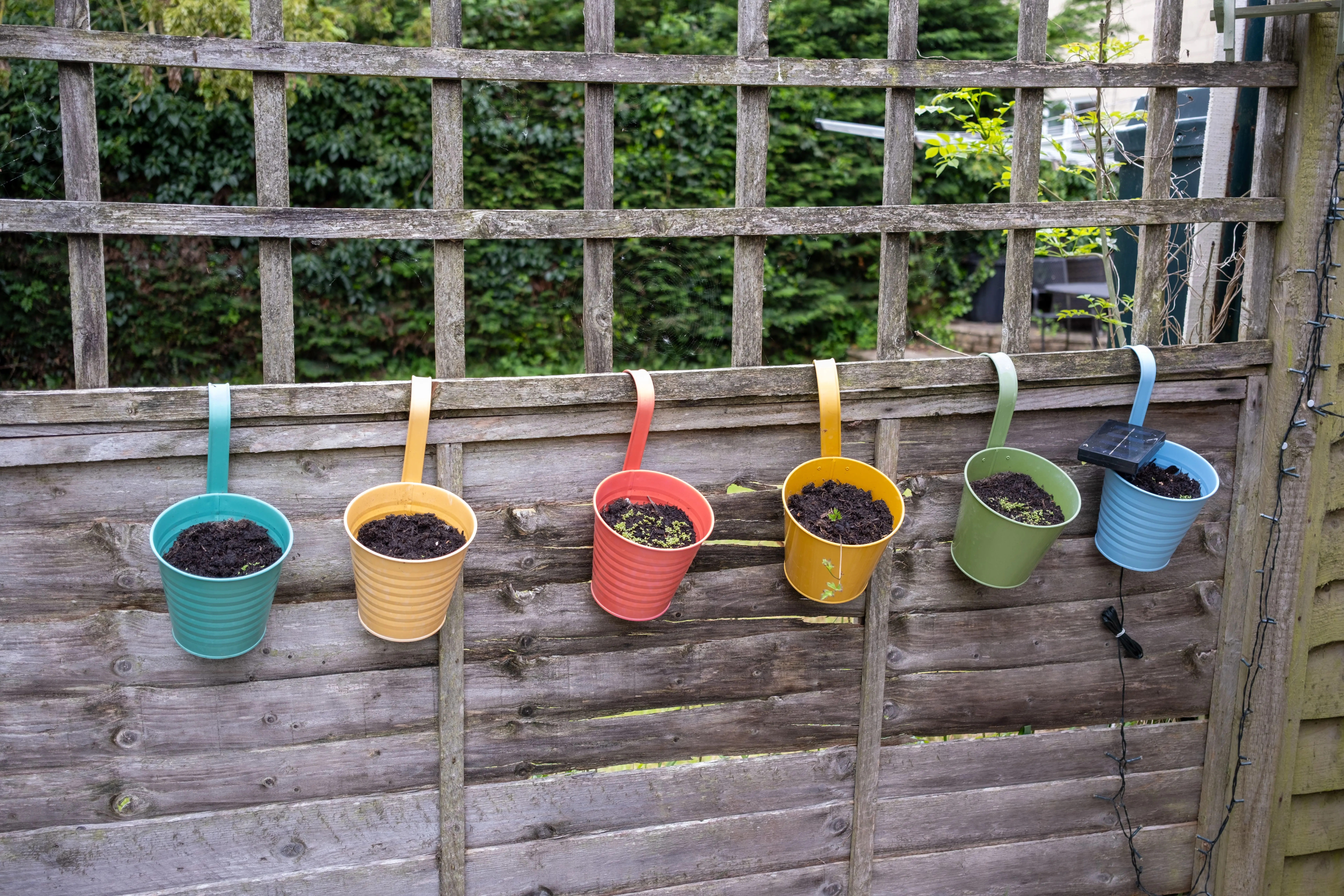 air and plants Vibrant hanging pots with soil on a wooden fence in a garden, creating a cheerful outdoor scene.