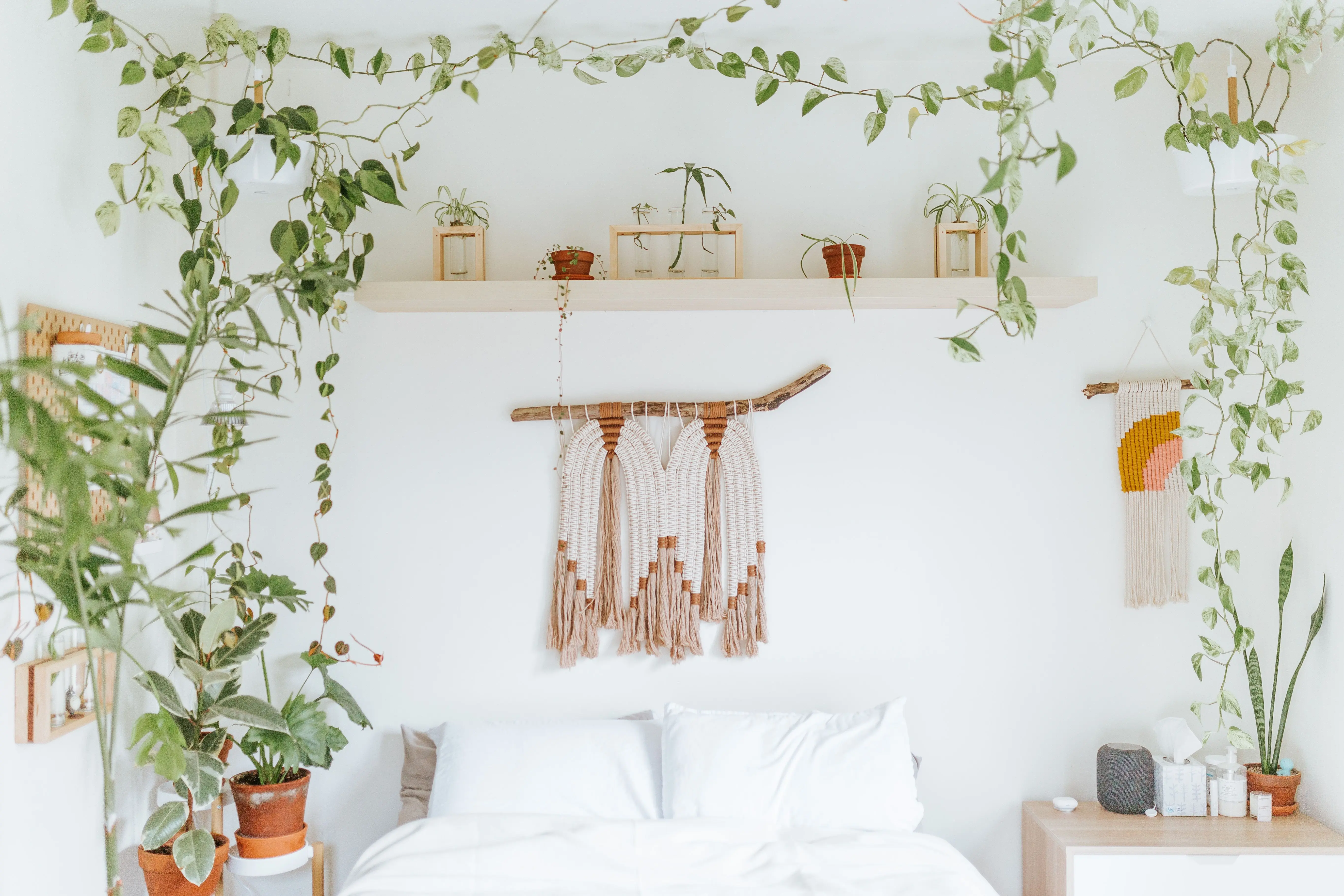boho comforter set A serene bedroom adorned with hanging plants, minimalist decor, and a cozy ambiance.