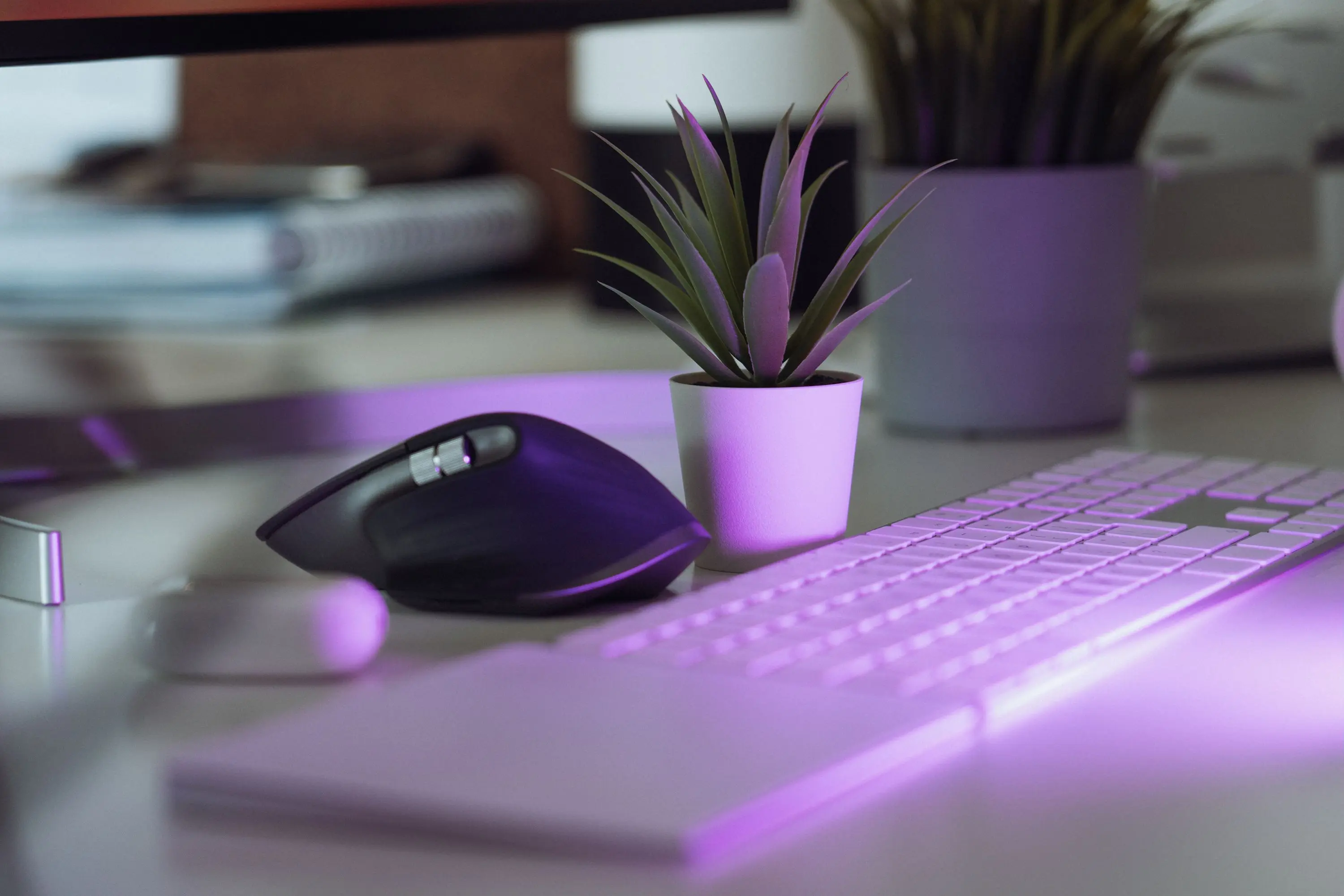 mice in walls Stylish home office workspace featuring keyboard, mouse, and potted plant under purple illumination.