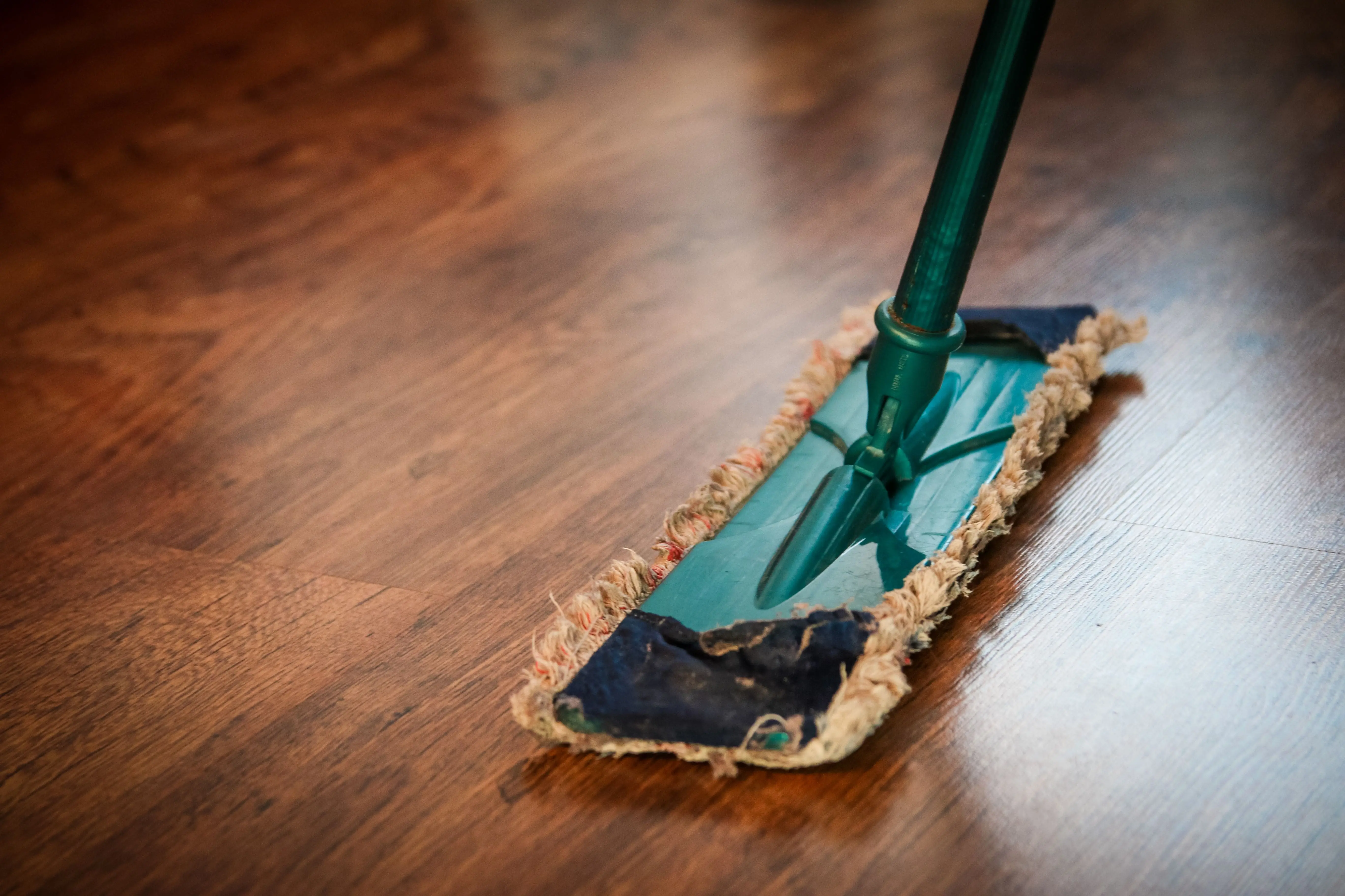 paint for cement floor A detailed view of a mop cleaning a wooden floor, showing texture and pattern.