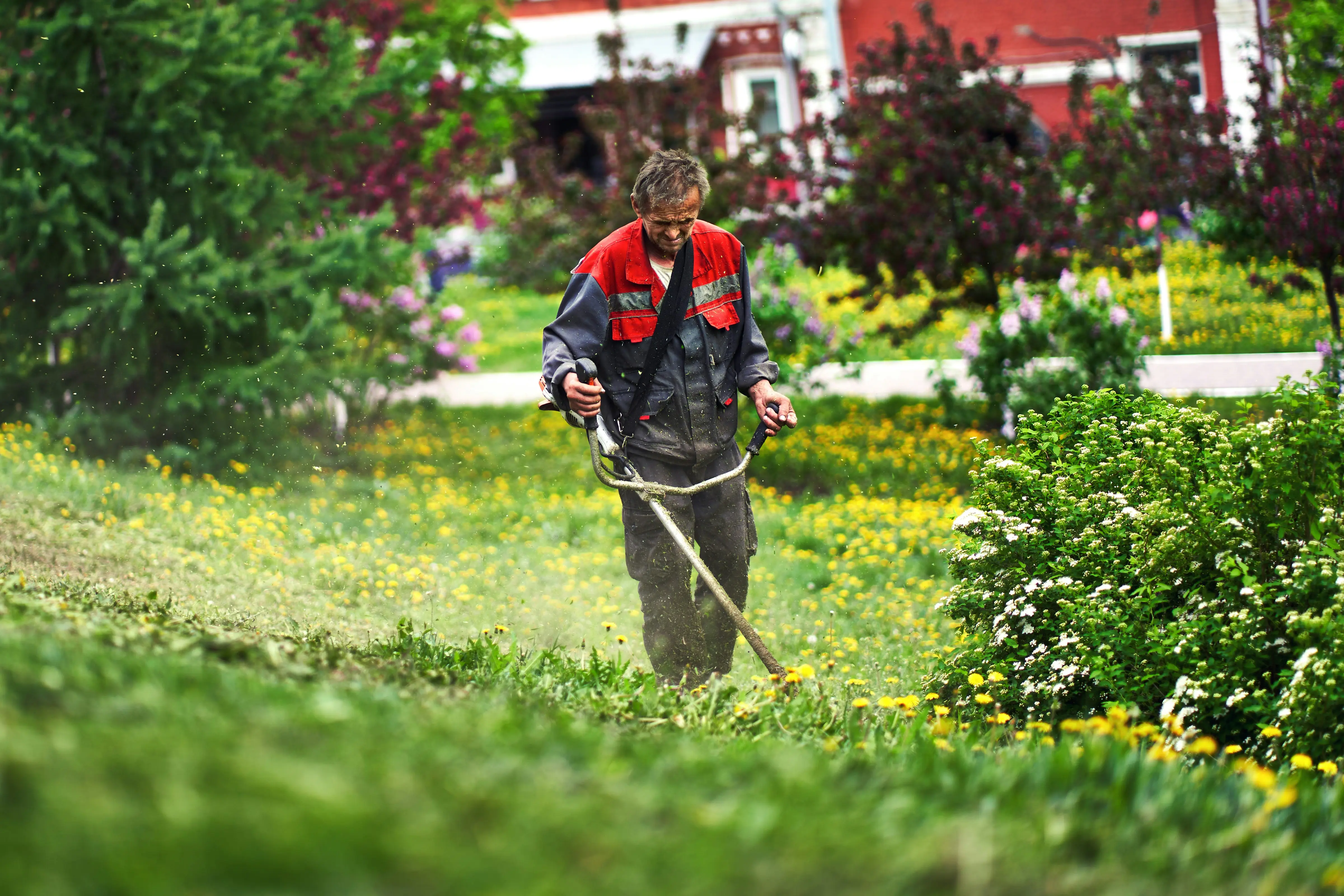 Lawn Insect Control : 5 Steps to a Perfect Yard