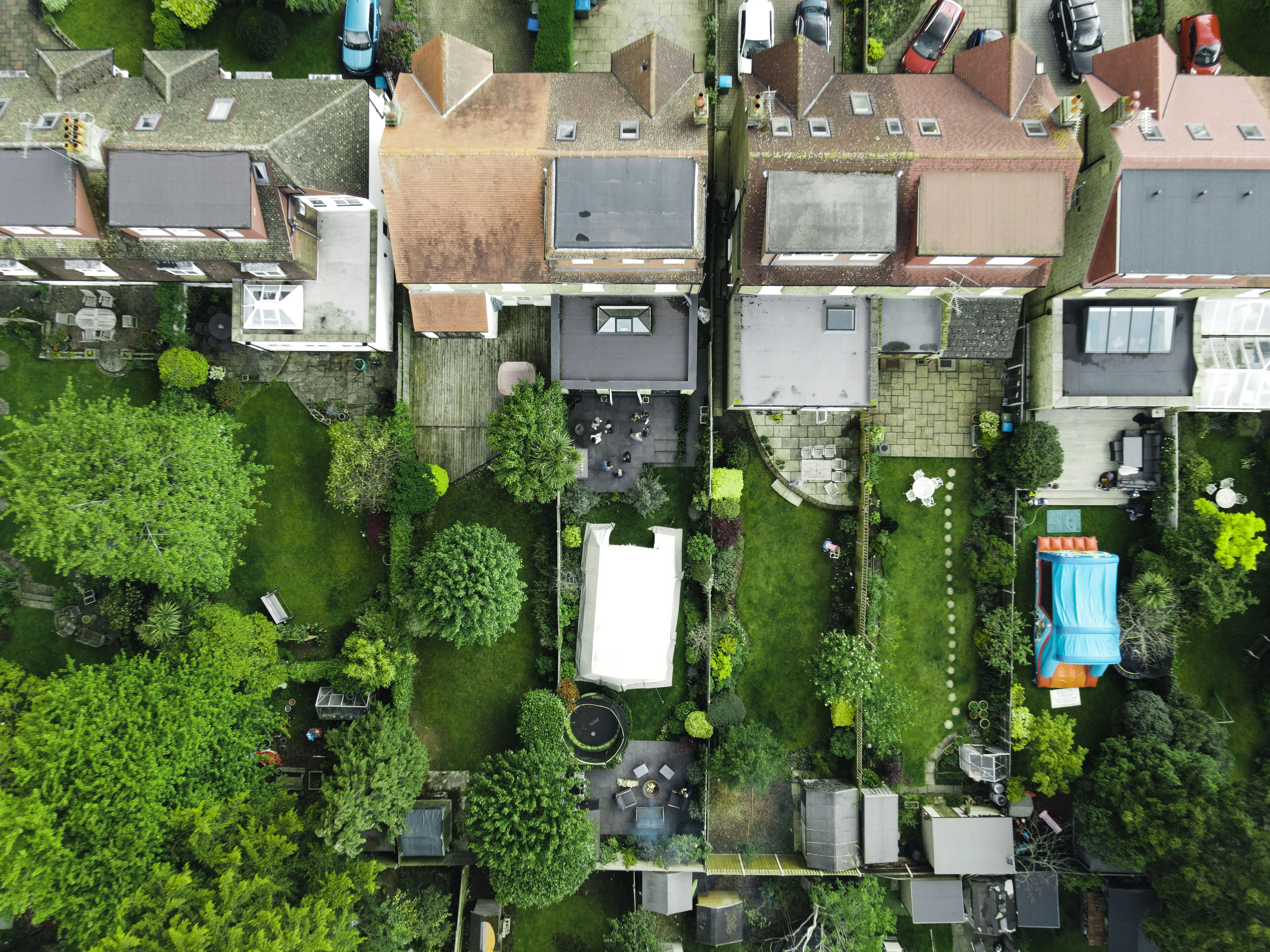 lawn insect control Aerial view of suburban gardens and homes in the green area of South England.