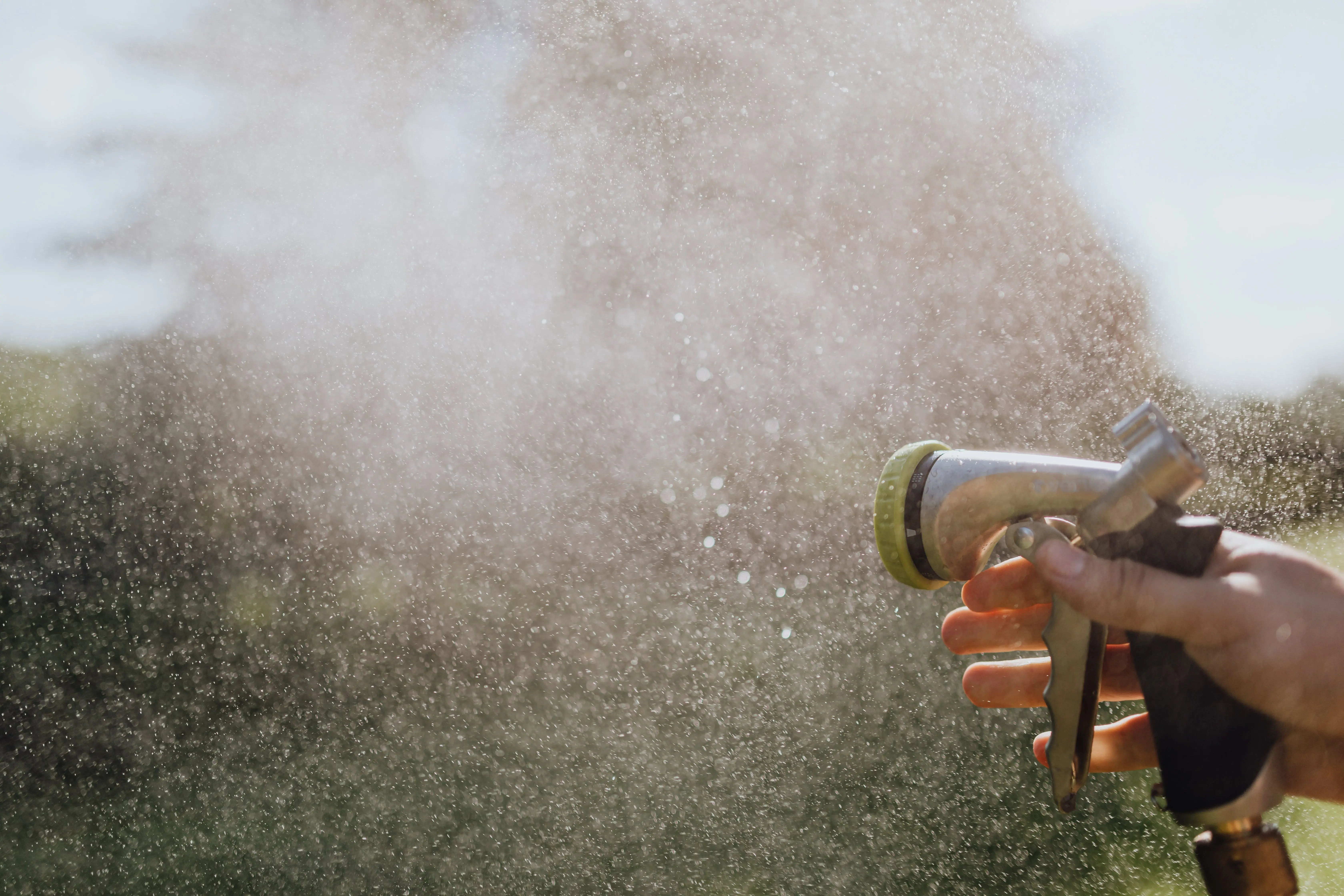 lawn insect control A hand holding a garden hose spray nozzle, misting water in an outdoor garden setting.