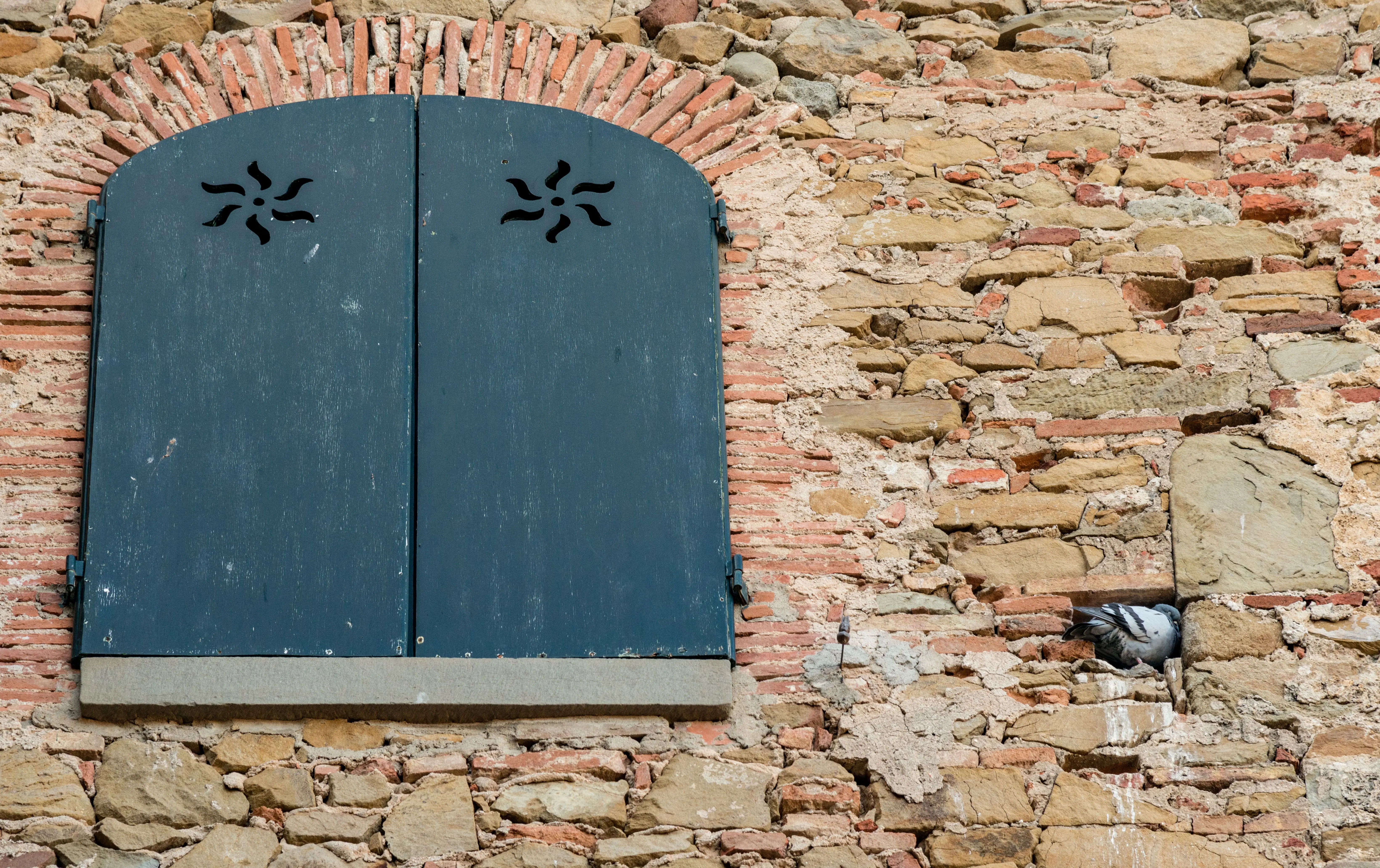mouse killer A rustic stone wall with a blue shuttered window and a pigeon nestled among the stones. Ideal for architecture themes.