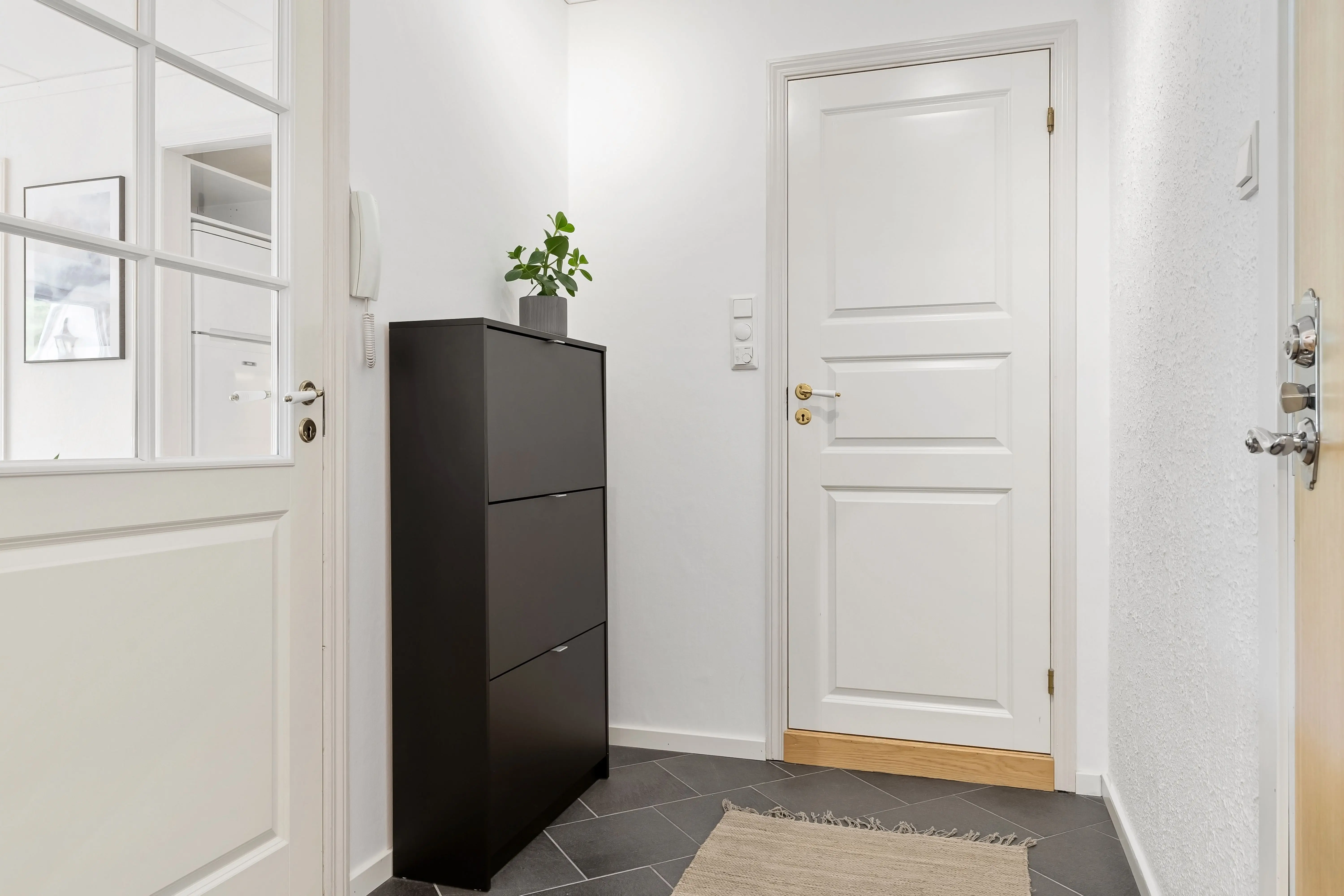 outdoor runner rug Sleek hallway featuring white doors, black dresser, and modern decor.