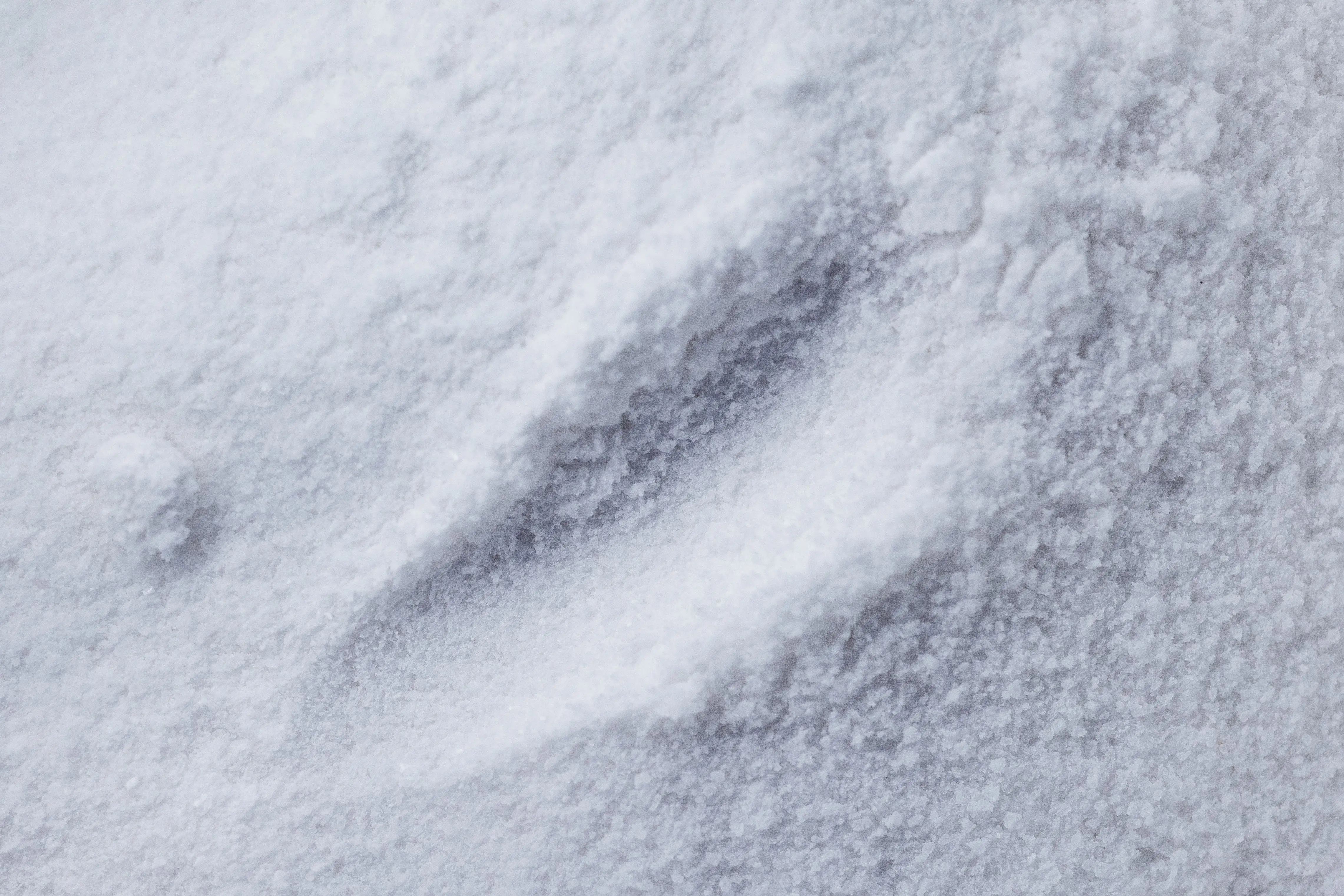 laundry detergent recipe Detailed macro photograph of a white powdered texture, perfect for backgrounds.