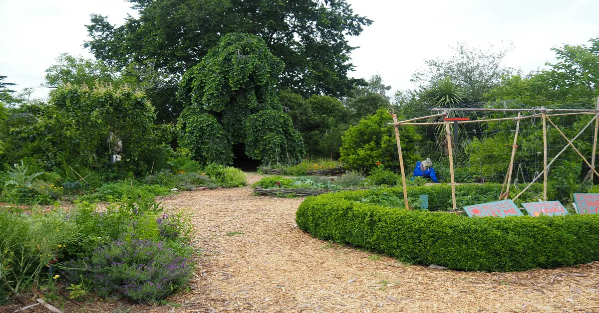 raised bed trellis