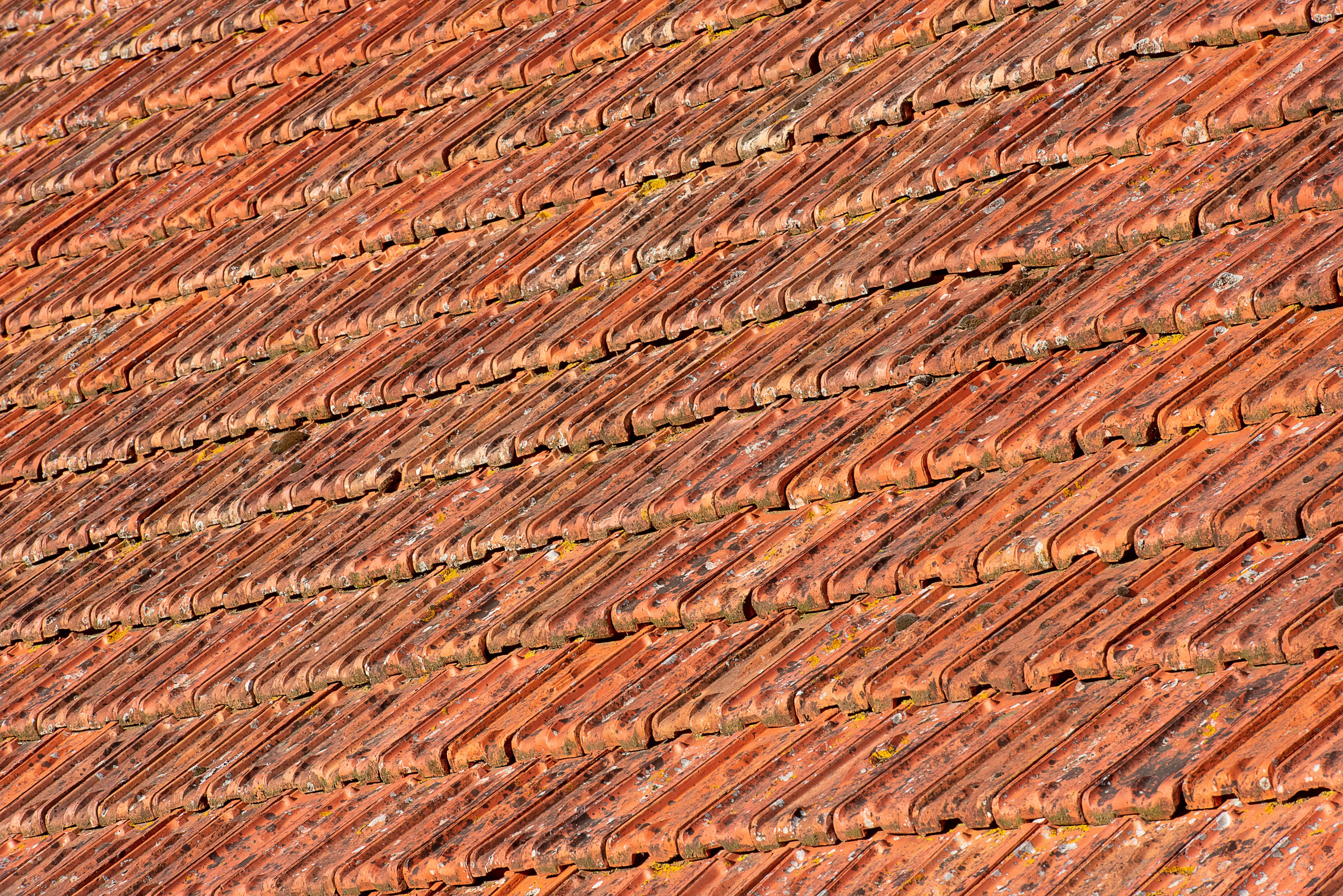 steel roof coating Close-up view of textured terracotta roof tiles with sunlight highlighting details.