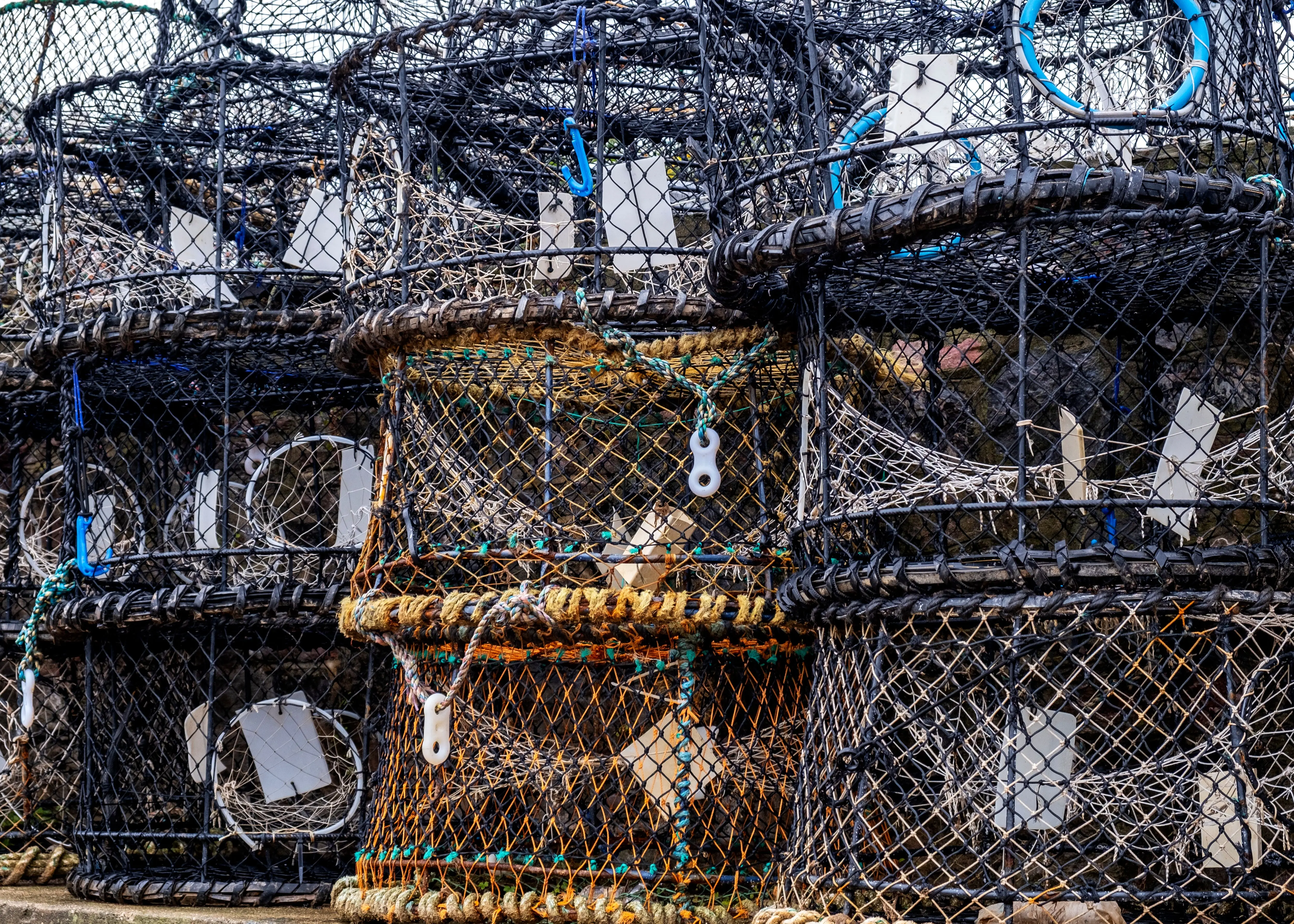 mouse killer A detailed view of stacked lobster pots used for fishing, showcasing intricate netting and design.