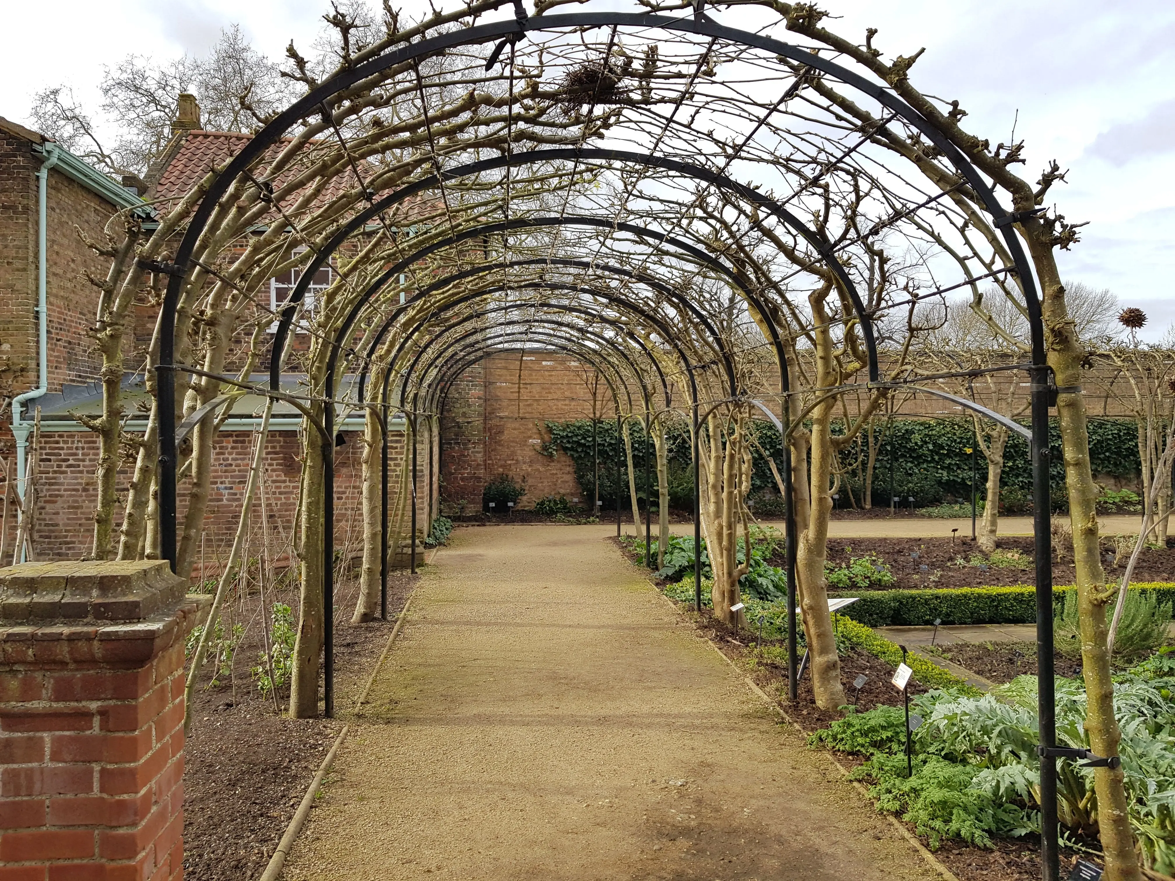 raised bed trellis A scenic archway in a garden with bare branches and brick buildings in early spring.