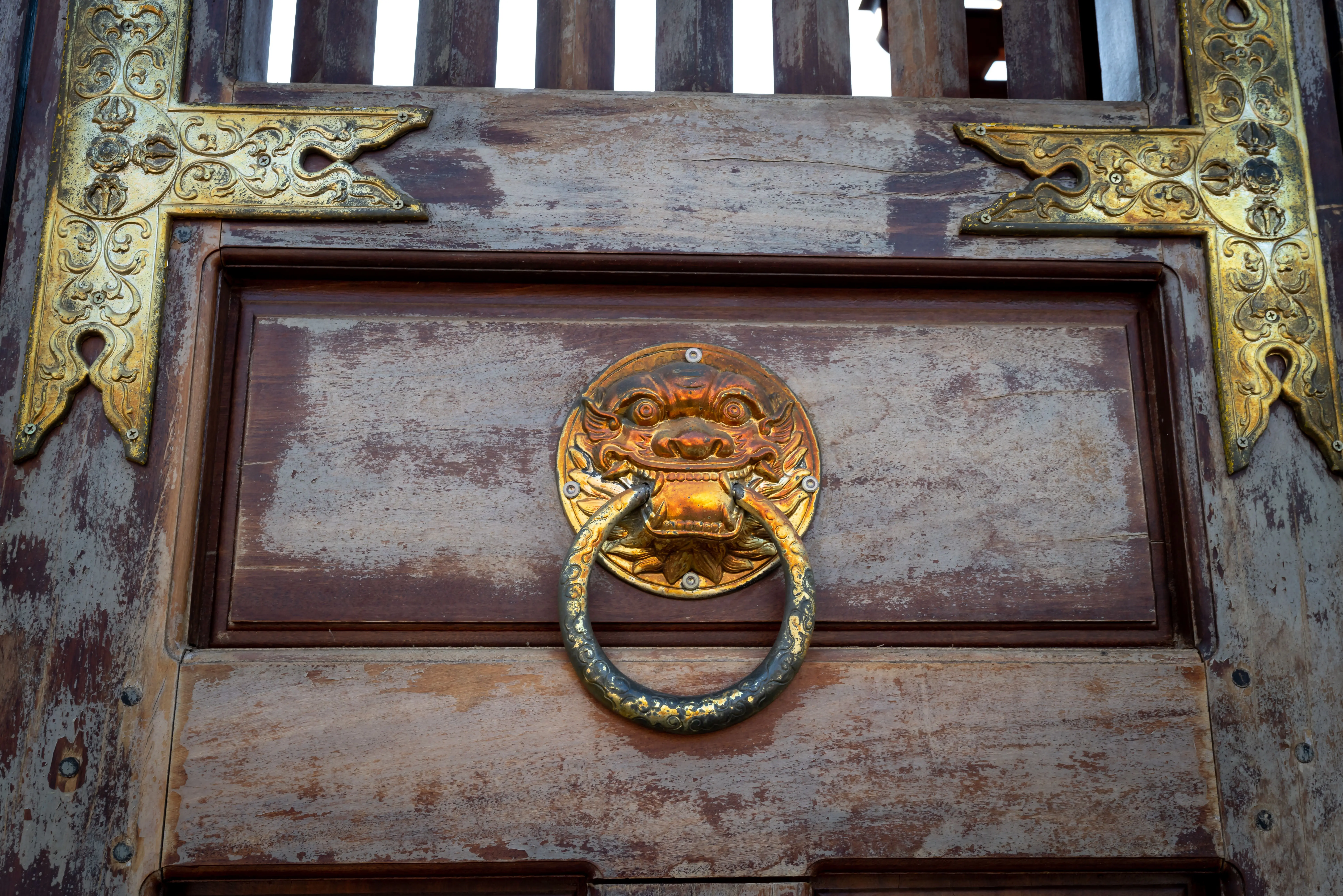 gold drawer pulls An ornate dragon-themed metal doorknocker on an aged, weathered wooden door with intricate metal detailing.
