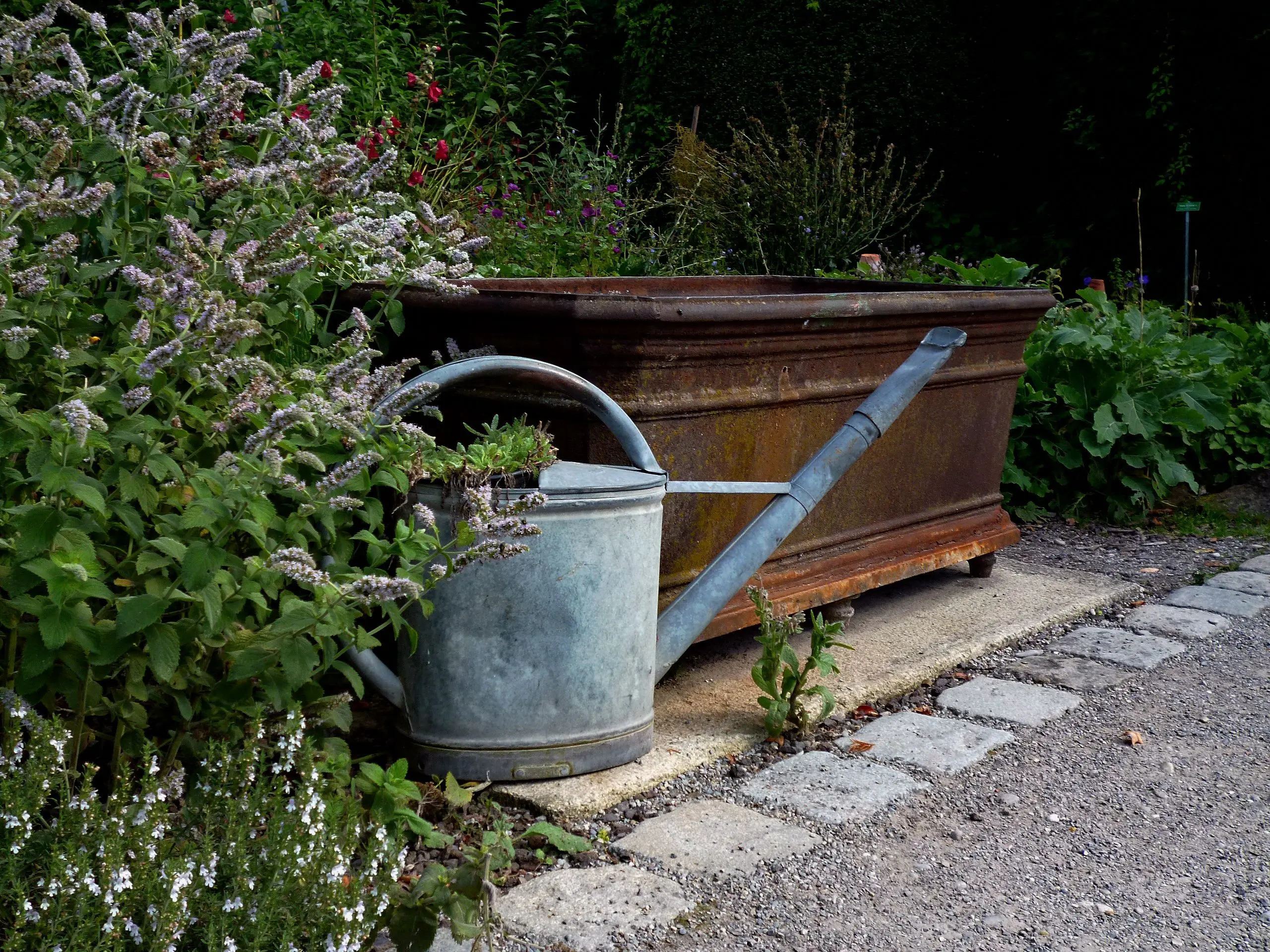 wooden plant planters A classic watering can amidst lush greenery and a rustic planter in a serene garden.
