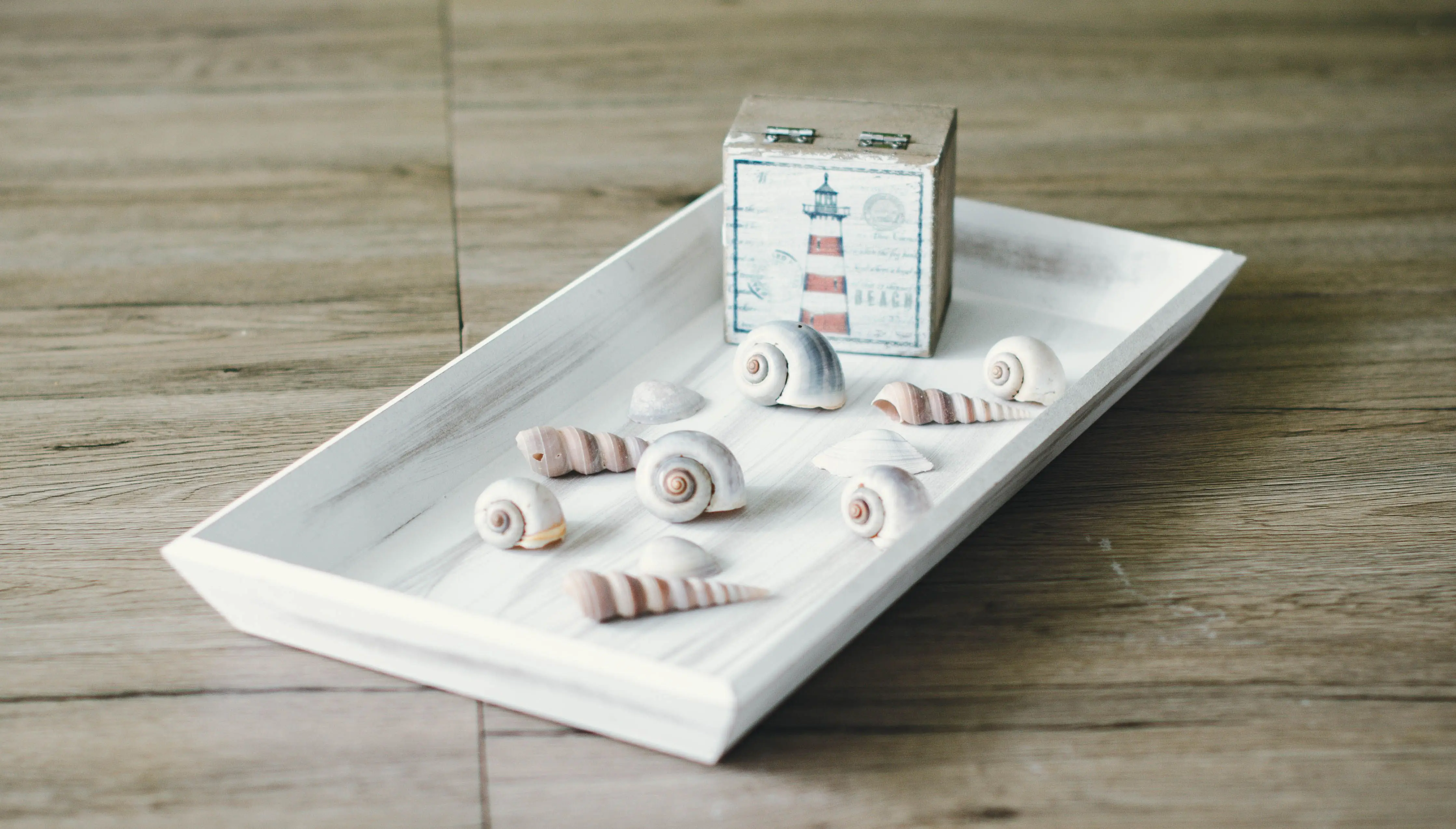 coastal wall decor Aesthetic arrangement of seashells with a lighthouse box on a white wooden tray.