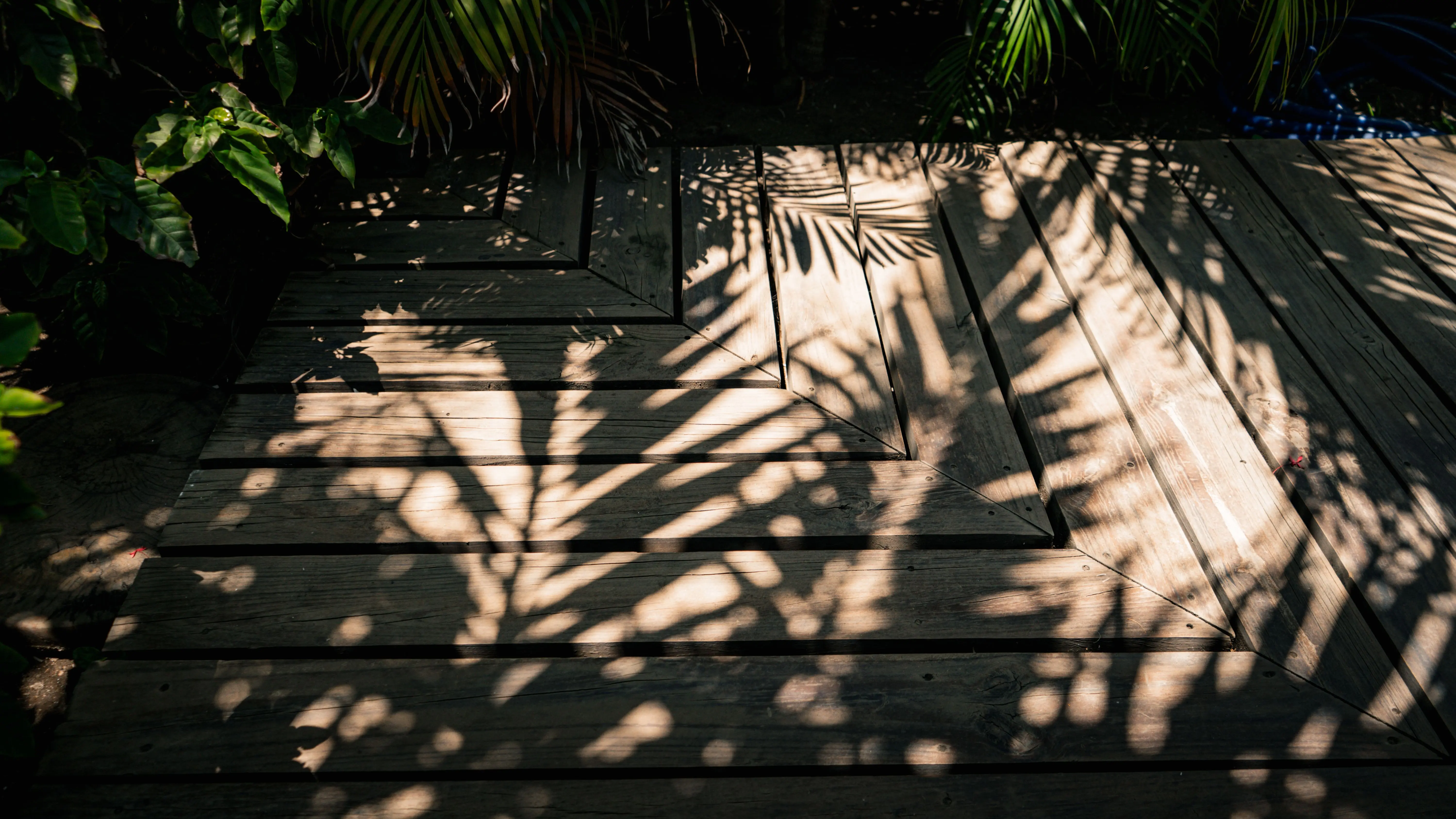 deck post lights Artistic play of palm leaf shadows on a wooden deck, creating a natural and tropical abstract pattern.