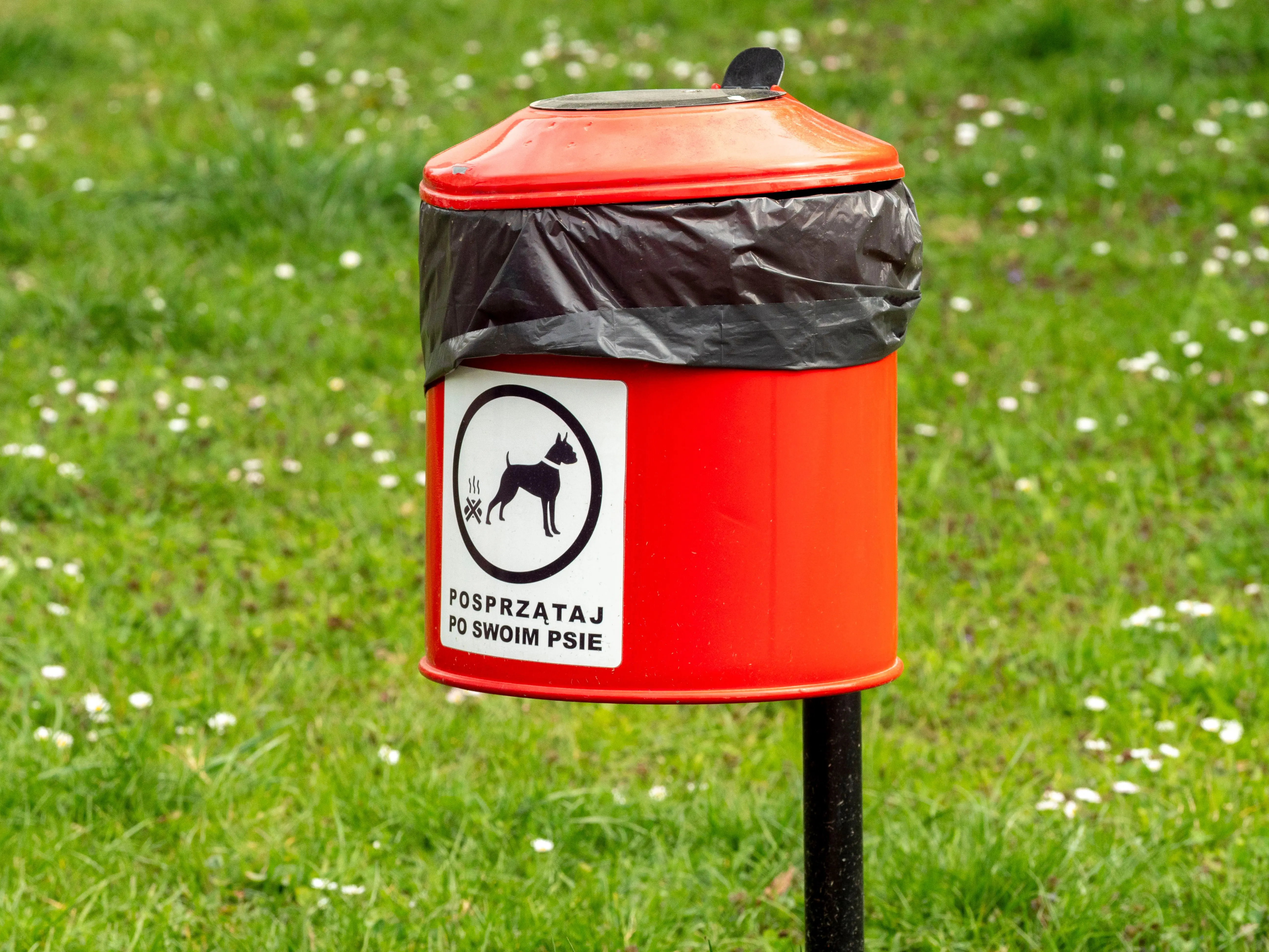 rat vs mouse poop Red dog waste bin with Polish signage in a park setting, Wrocław, Poland.