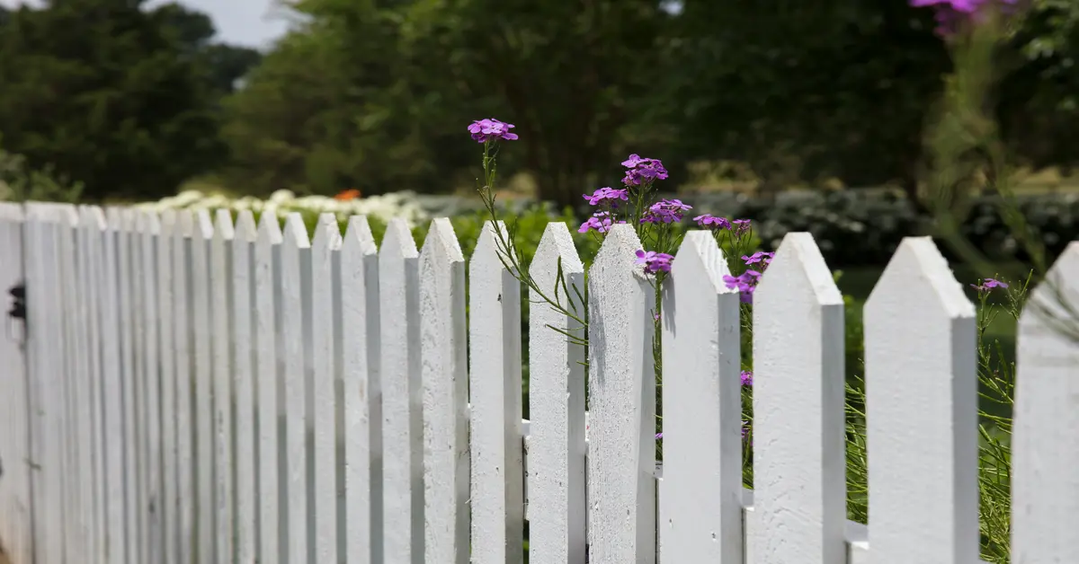 fence cost