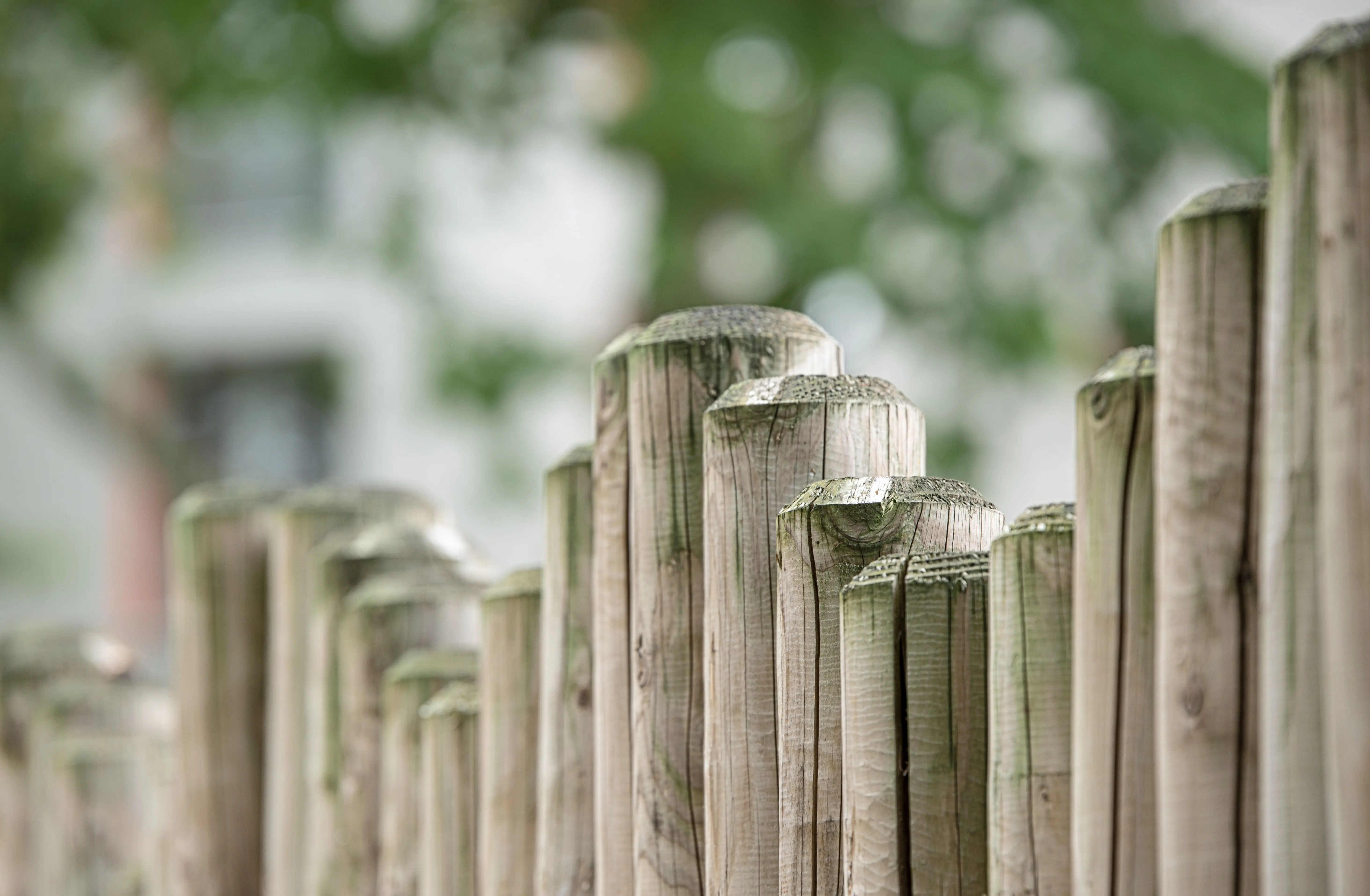 fence cost Close-up view of a textured wooden fence against a blurred natural background.