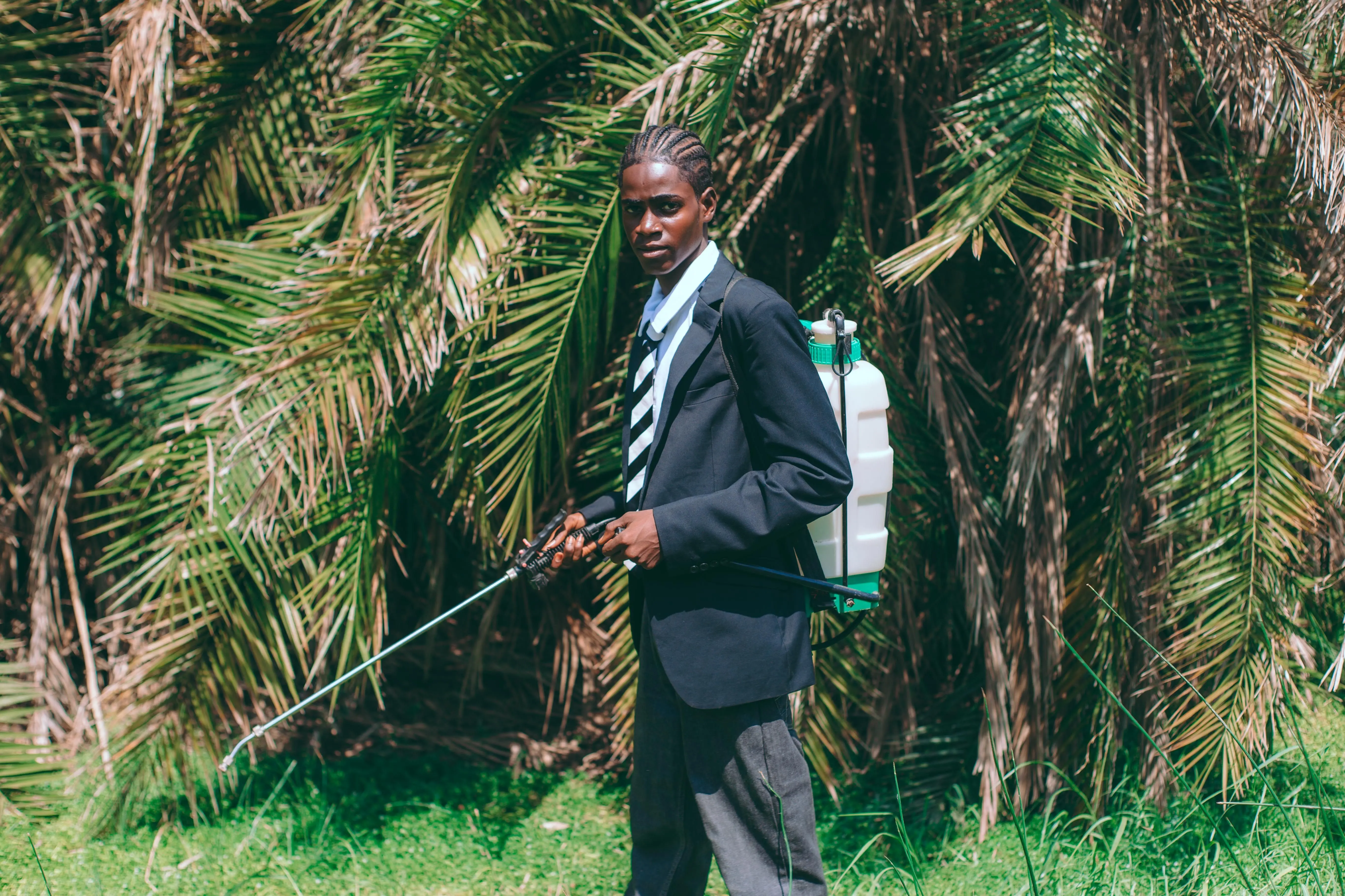 rat vs mouse poop A young man in formal attire sprays pesticides in a palm grove in Accra, Ghana.