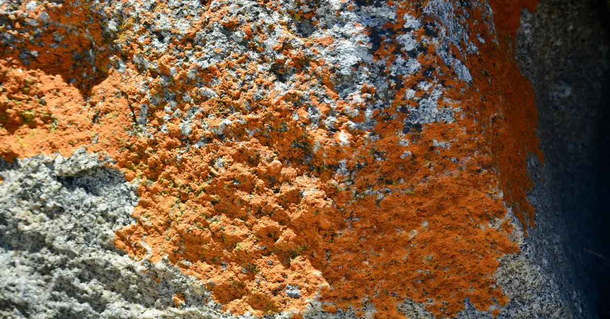 red granite