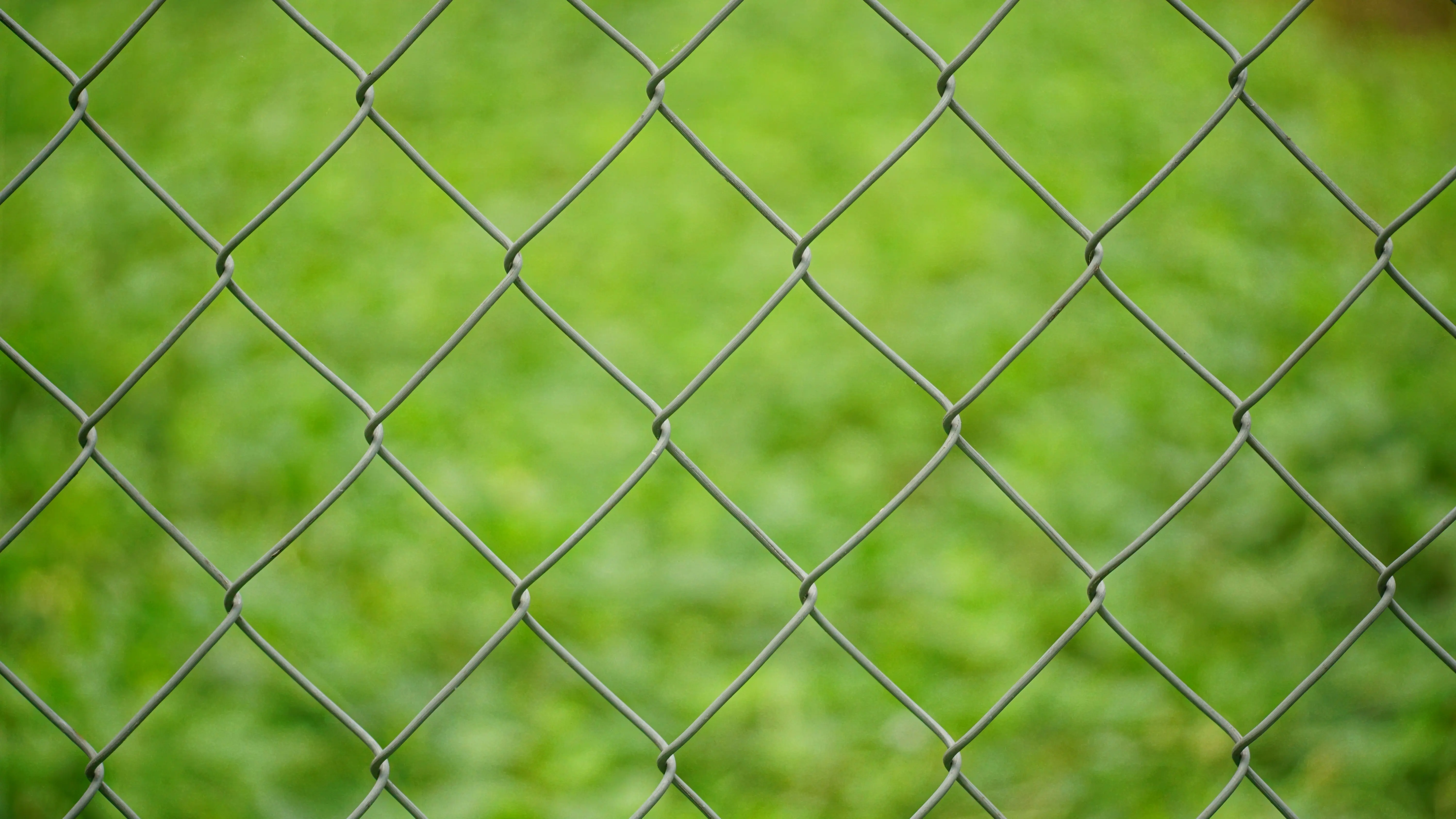 fence cost A close-up view of a metal chain link fence against a blurred green background.