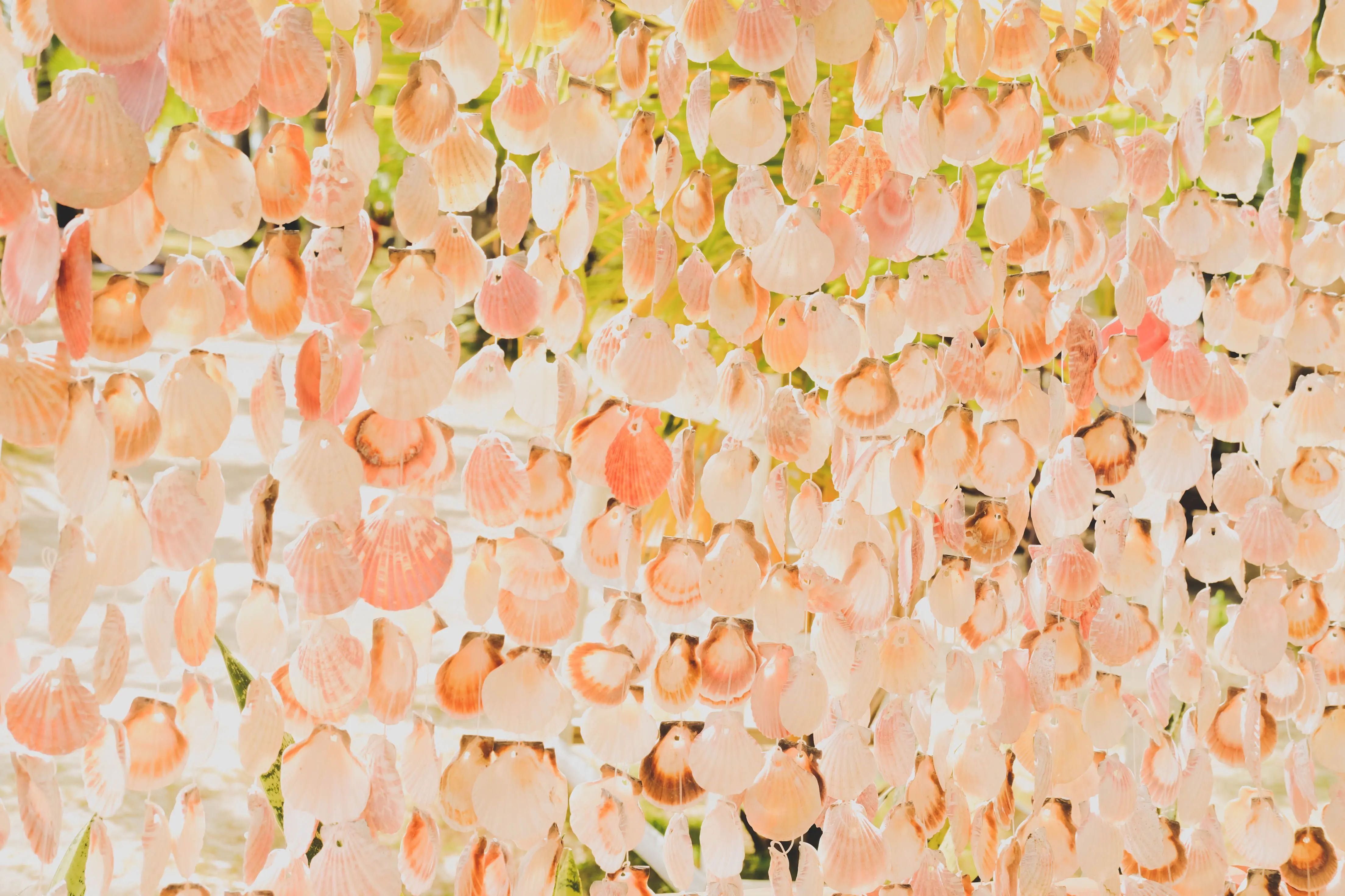 coastal wall decor Close-up of colorful seashells hanging decoratively, creating an artistic display.