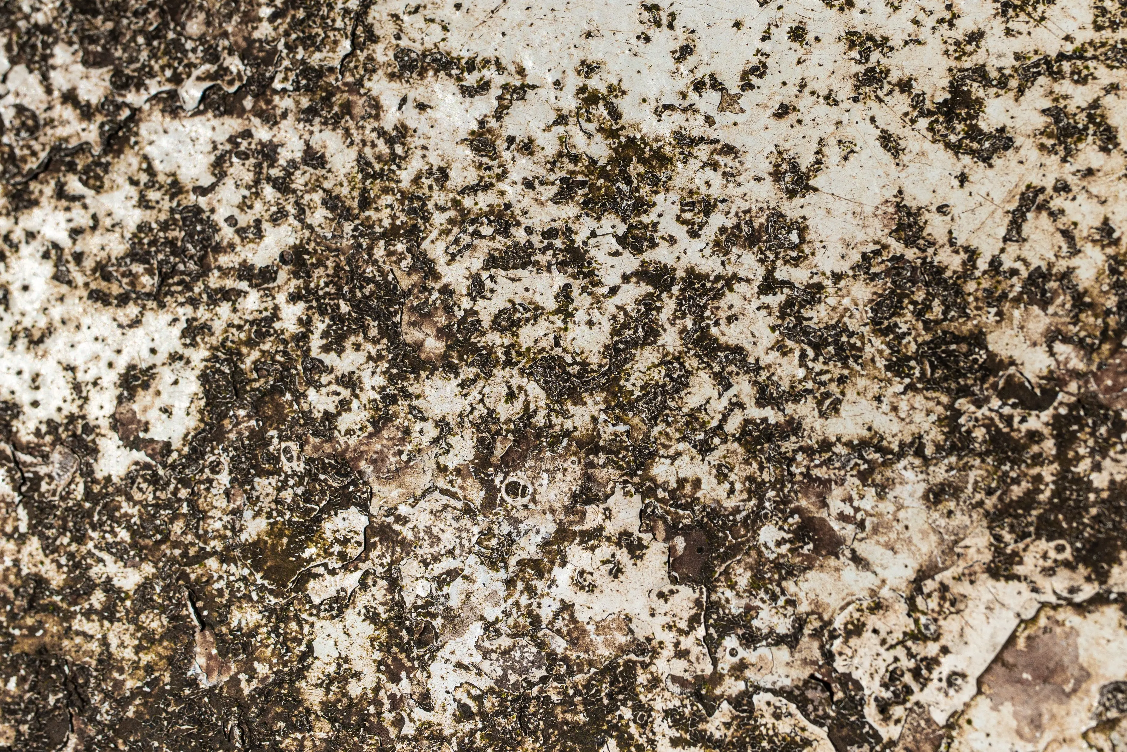 white stain Detailed view of a rusted and stained metal surface showcasing intricate textures and patterns.