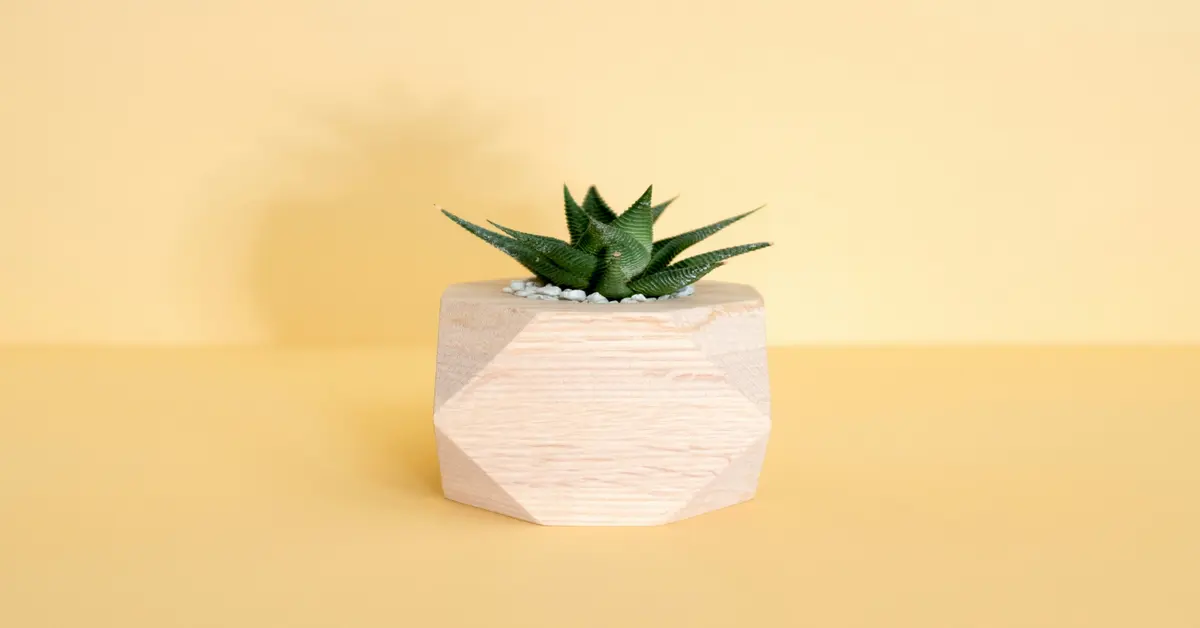 wooden plant planters