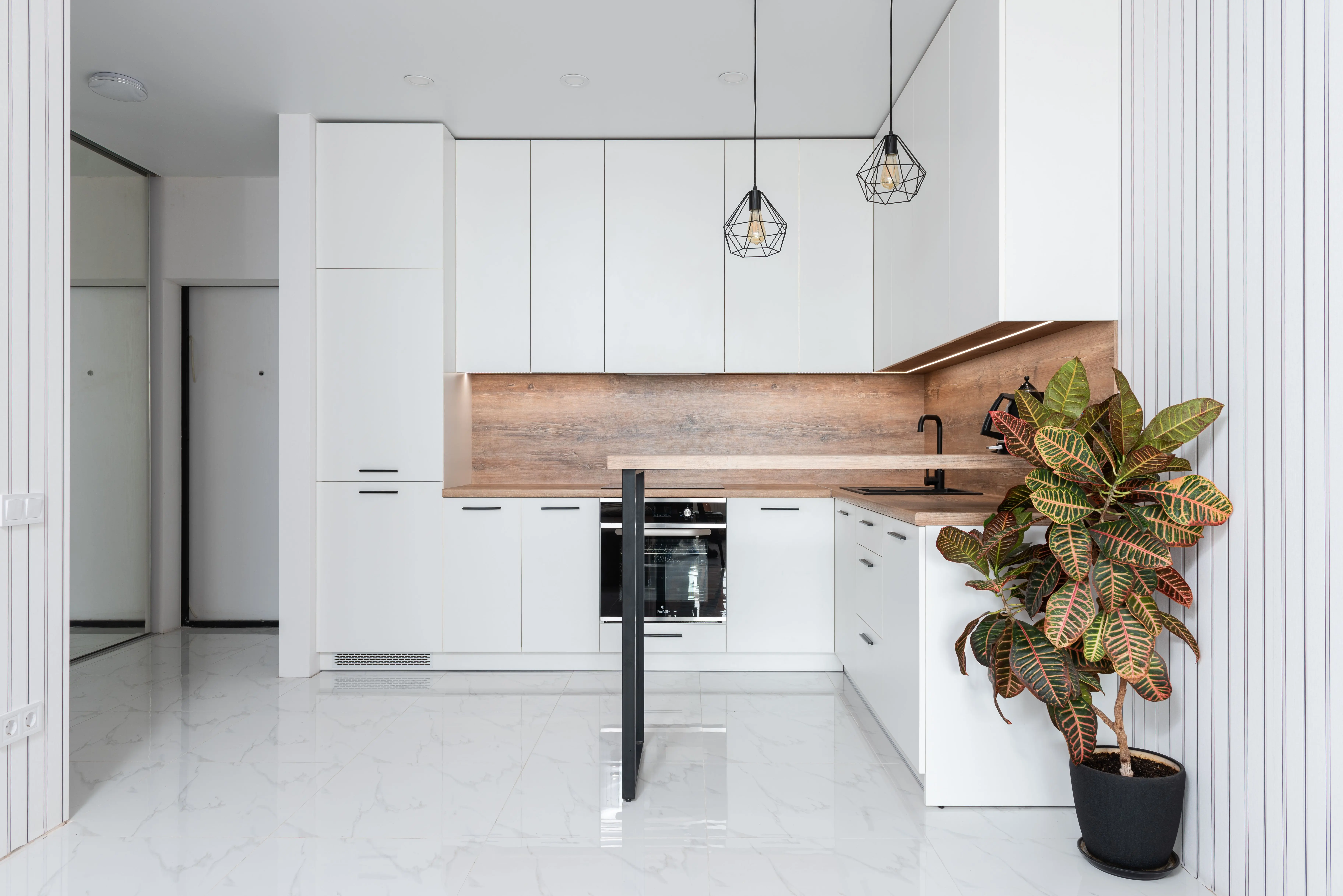 mdf cabinets Potted Codiaeum variegatum plant decorating spacious light kitchen with minimalist white furniture and modern appliances at home