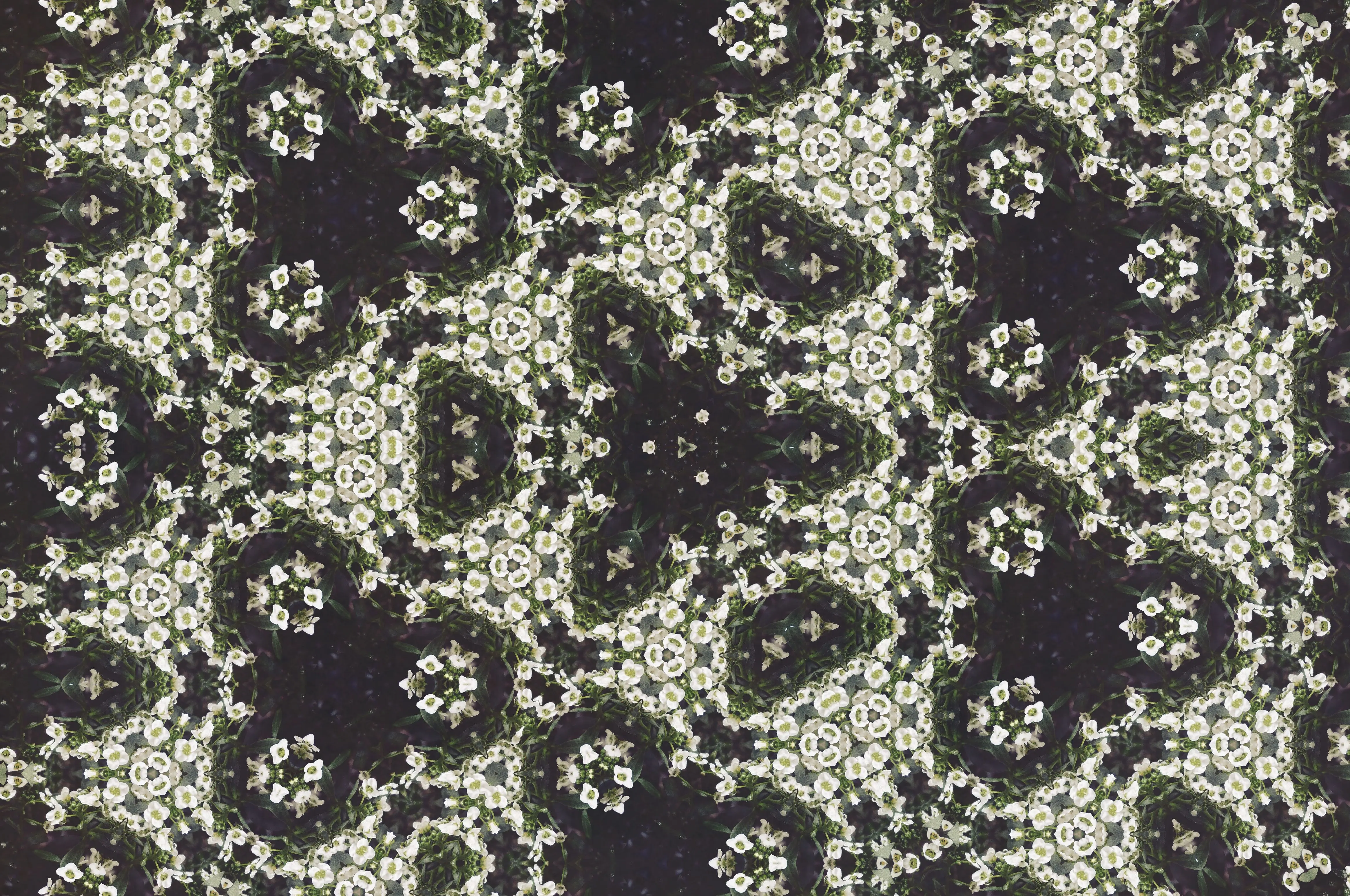 flowers in vase Seamless floral pattern featuring white flowers in an artistic and symmetrical design.