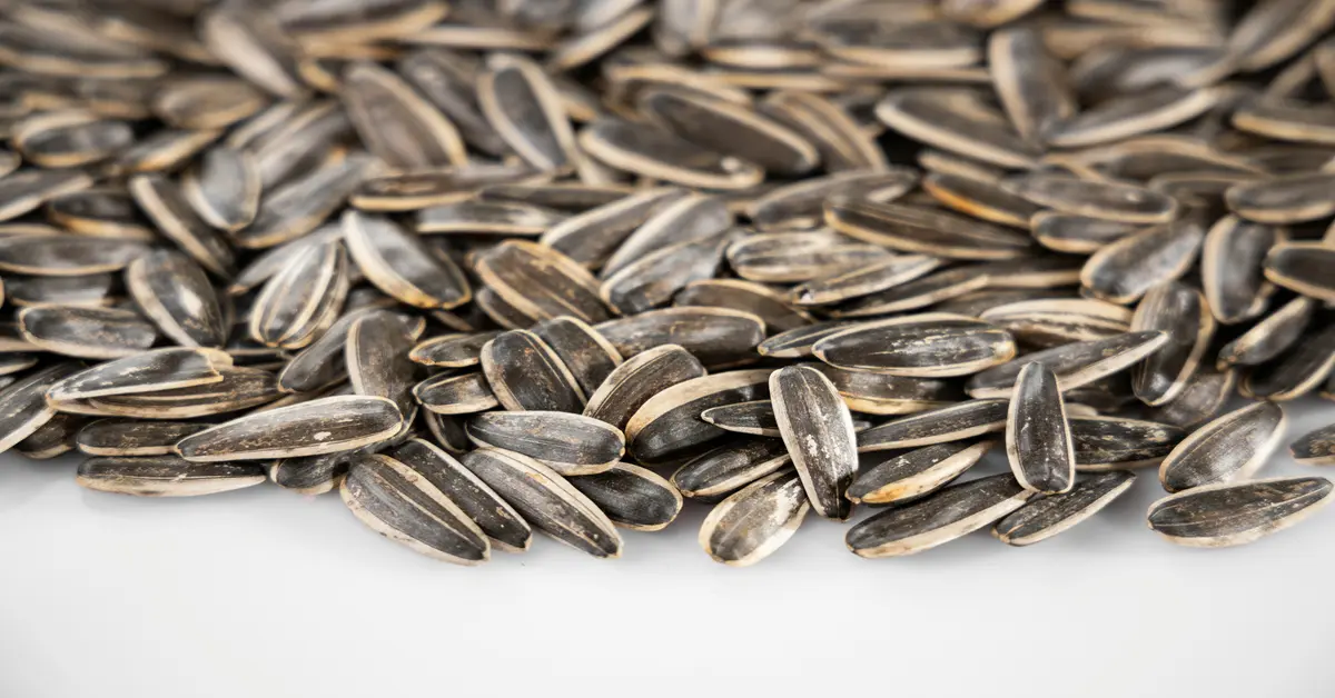 black sunflower seeds