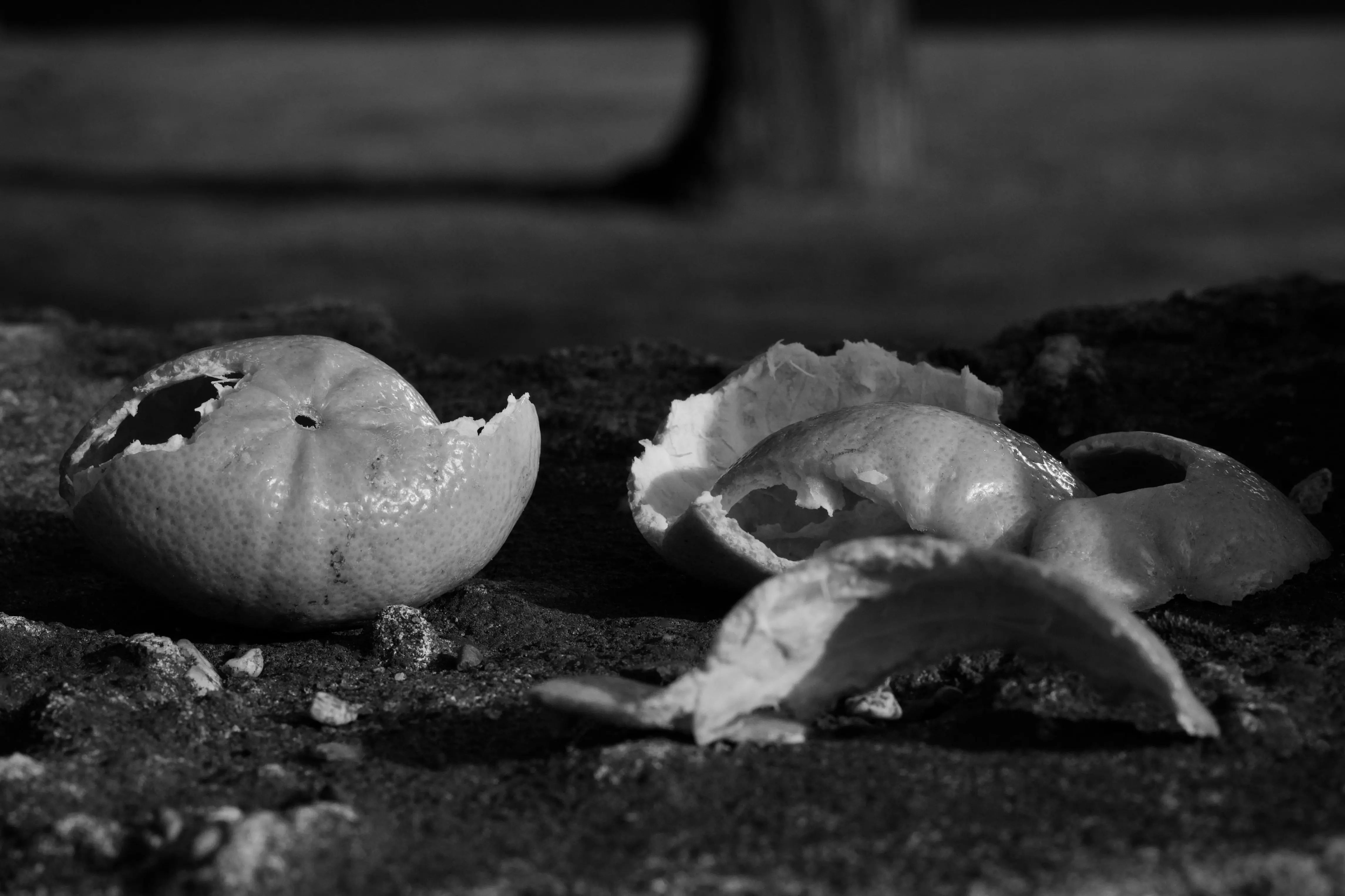 what scent do flies hate Artistic black and white photo of scattered citrus peels outdoors on rough ground.