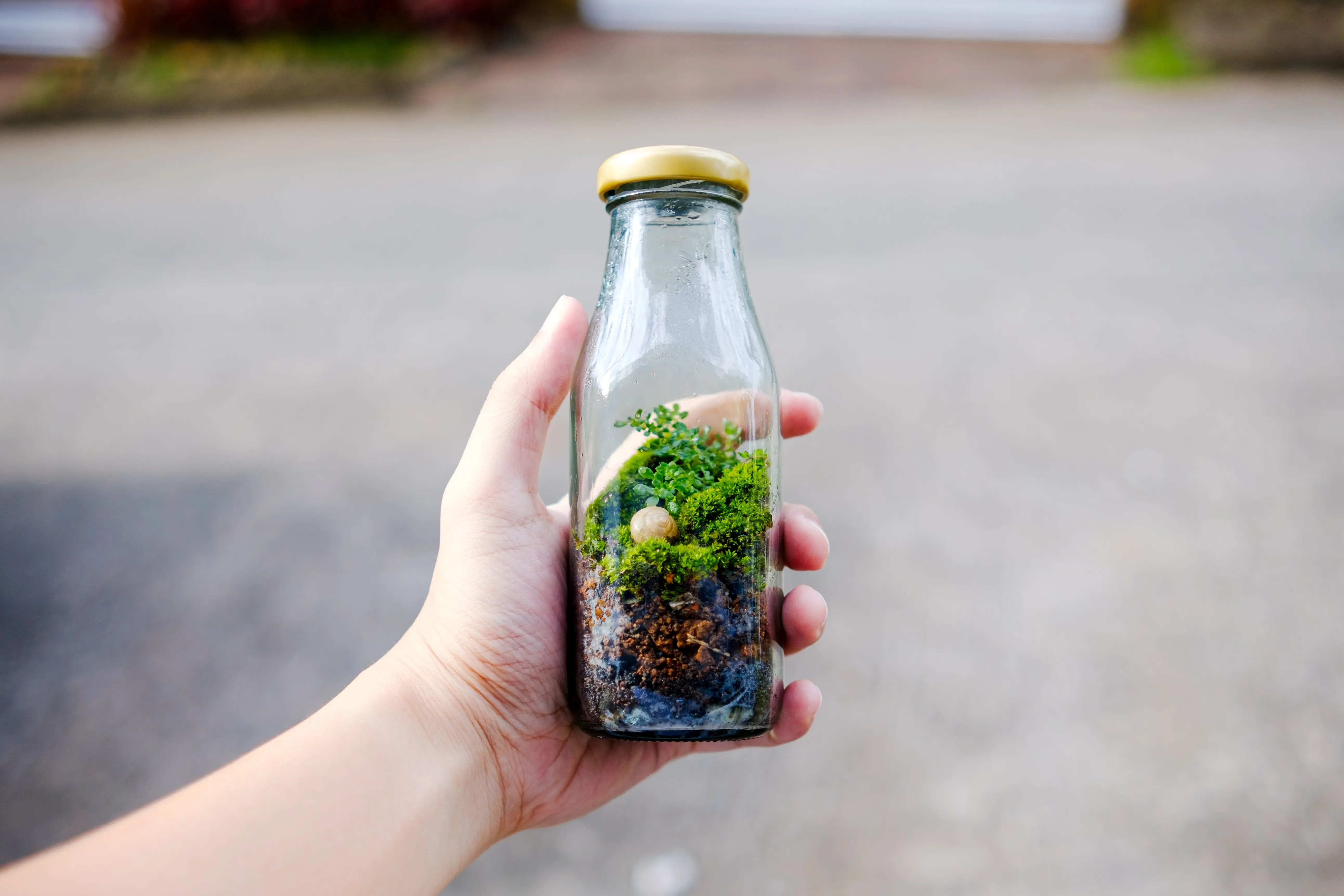 glassware storage containers Close-up of a hand holding a glass bottle terrarium with green plants and soil, captured outdoors.