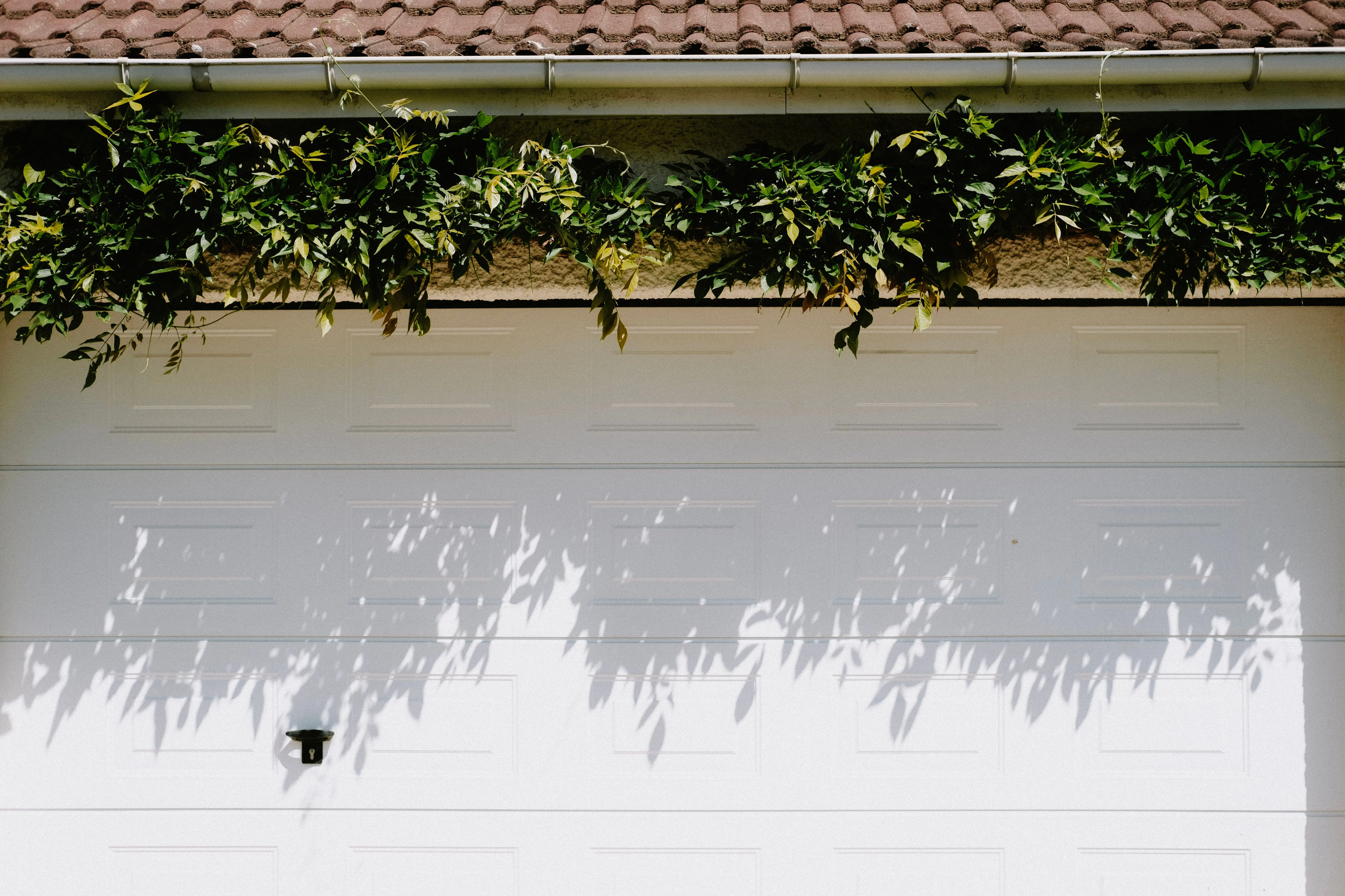 9x7 garage door A closed white garage door adorned with lush green foliage casting shadows.