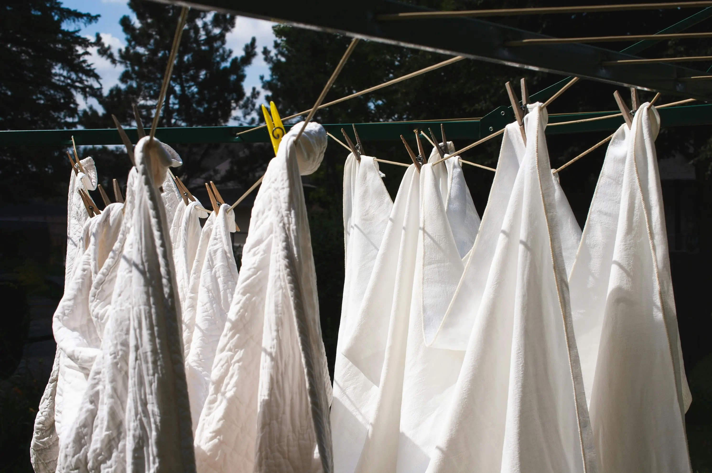 How to Get Dried Blood Out of Clothes : 5 Easy Steps !
