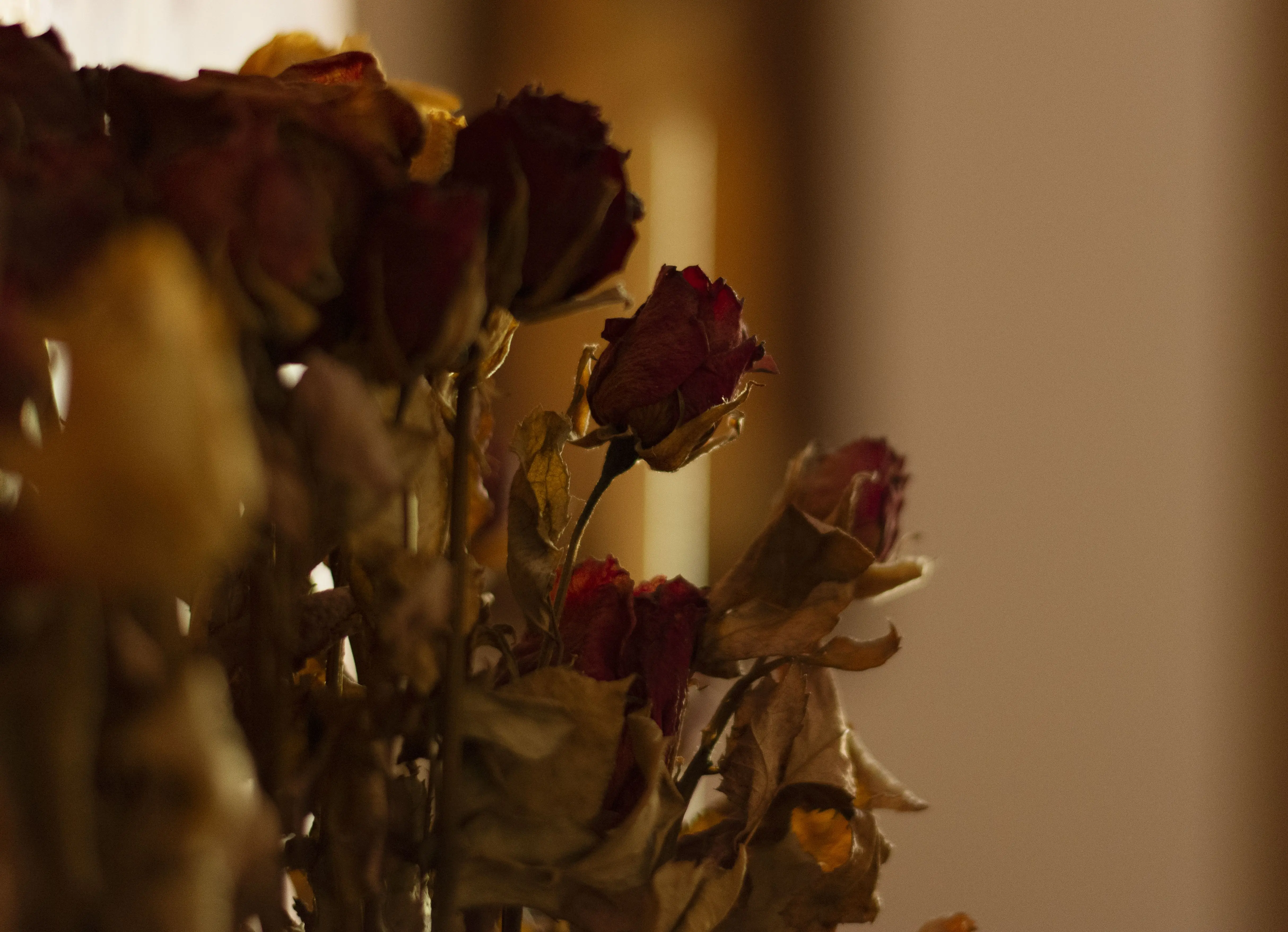 flowers in vase A close-up view of a dried rose bouquet with a warm, moody ambiance, captured indoors.