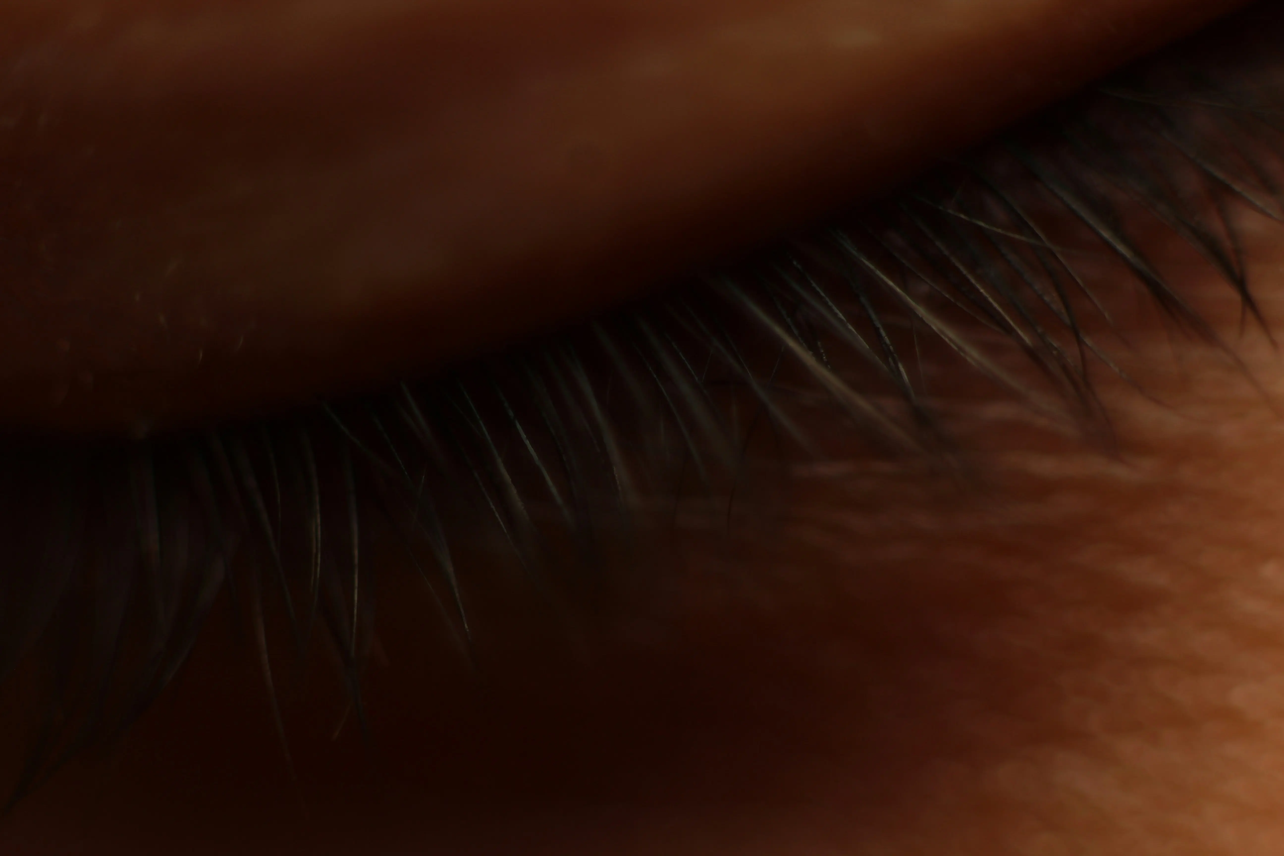 What Do Fleas Look Like to the Human Eye : 5 Shocking Facts