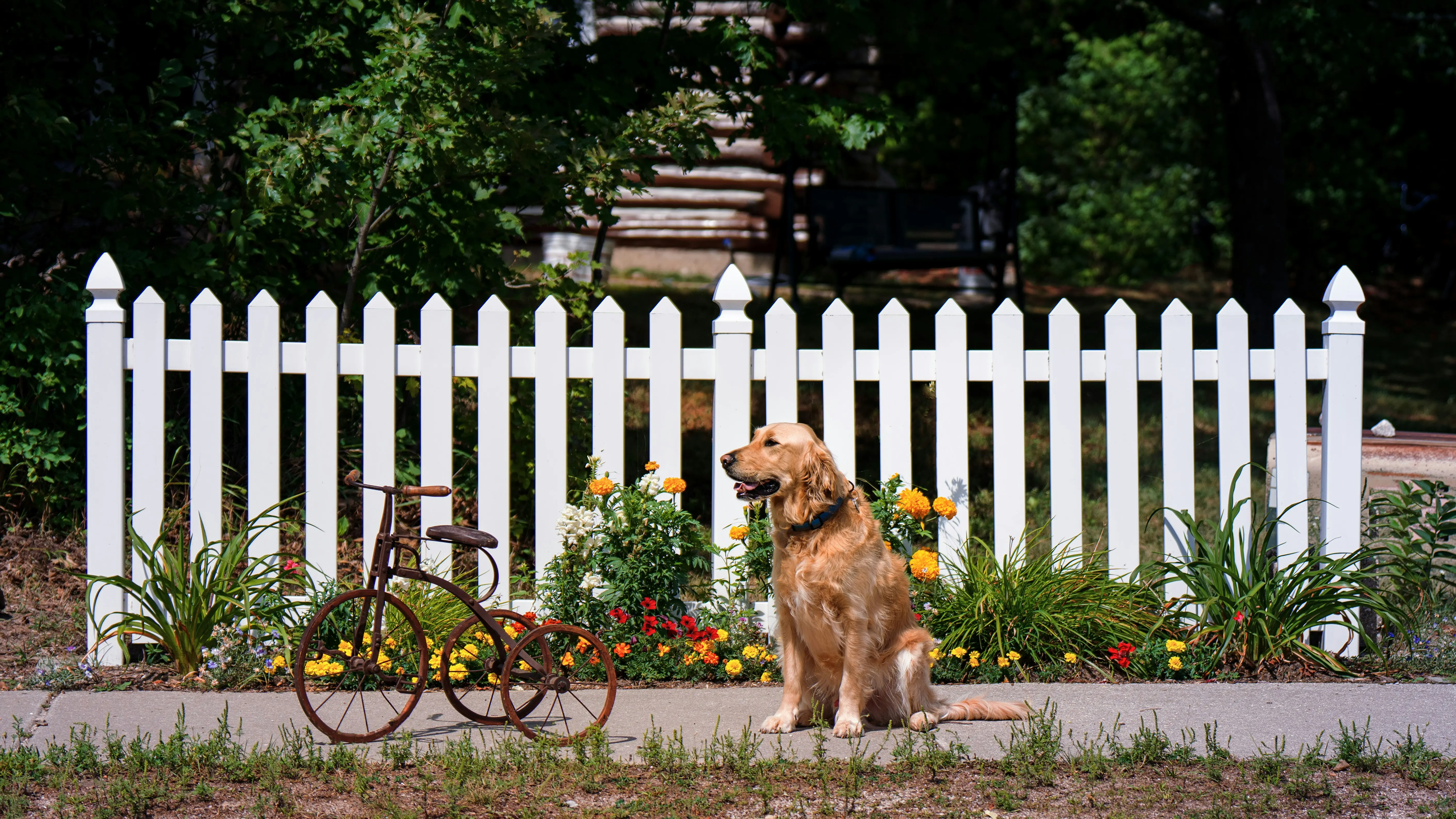 PVC Fence Gate : 5 Amazing Benefits You Need Now