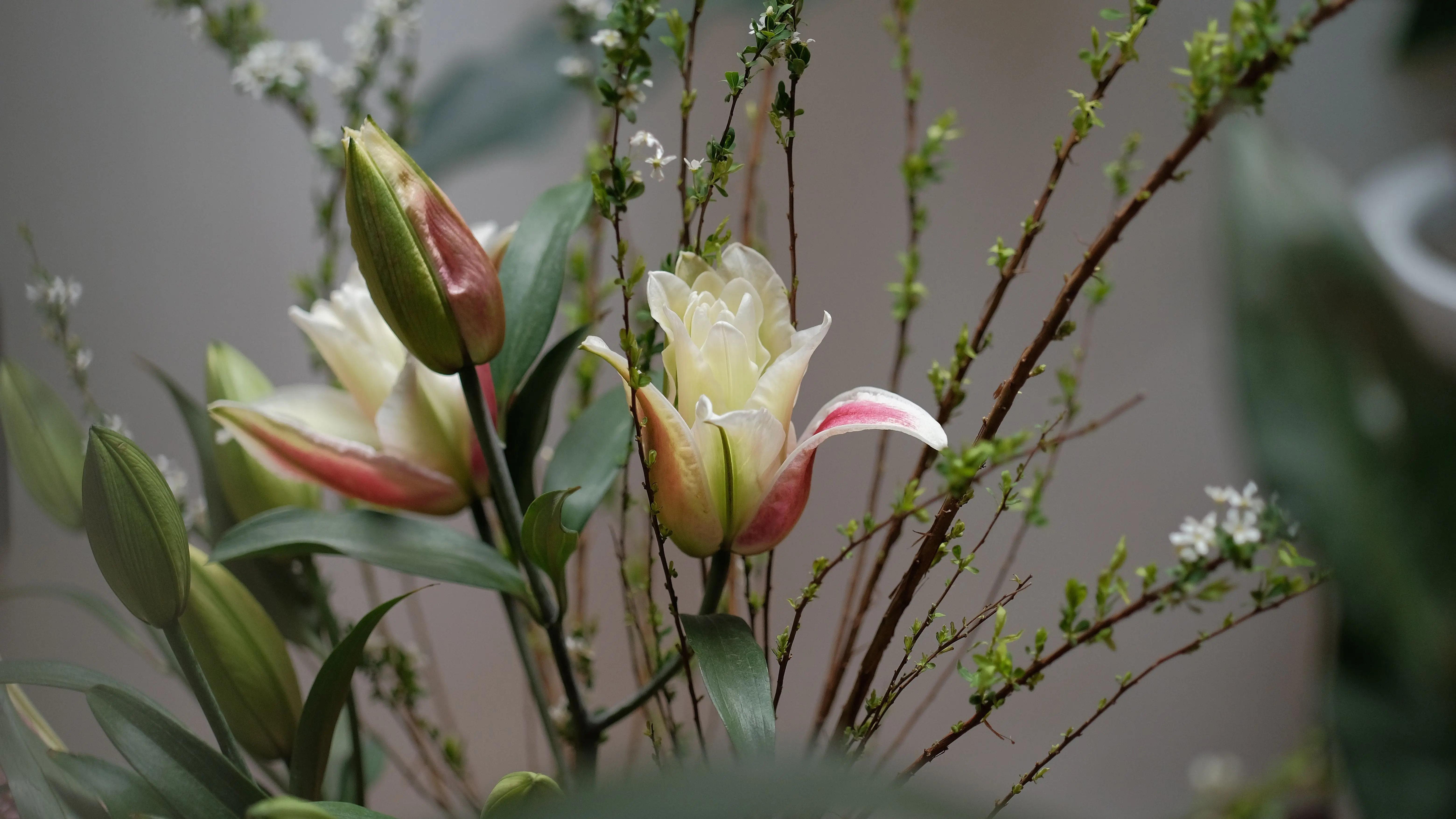 huge bouquet of flowers Close-up of a beautiful lily bouquet with budding branches showcasing nature's elegance.