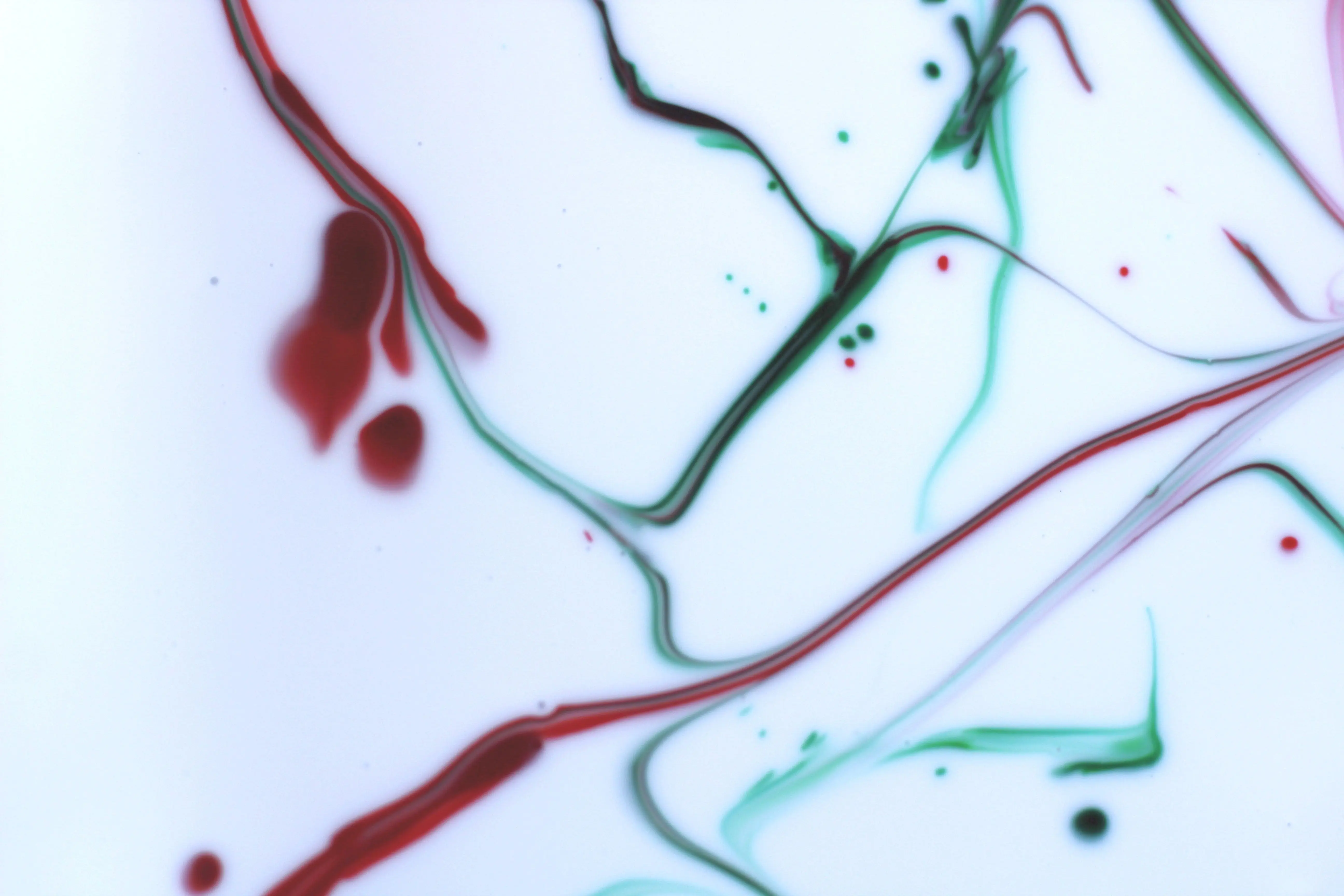 how to get blood out of denim Abstract pattern with red and green ink flowing on a white background, showcasing fluidity and color contrast.