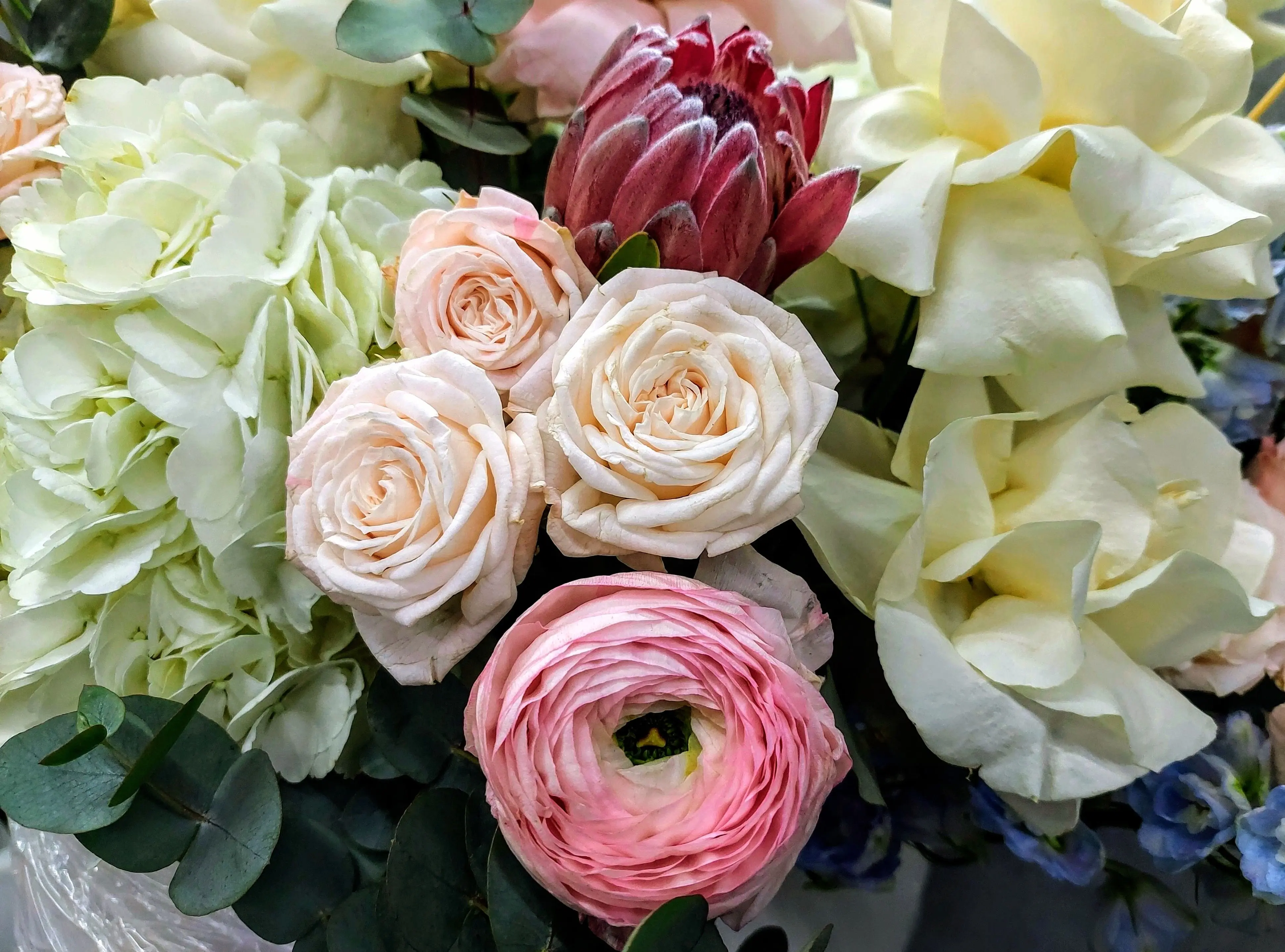 huge bouquet of flowers A stunning arrangement with protea, roses, ranunculus, and hydrangeas, showcasing vibrant colors.