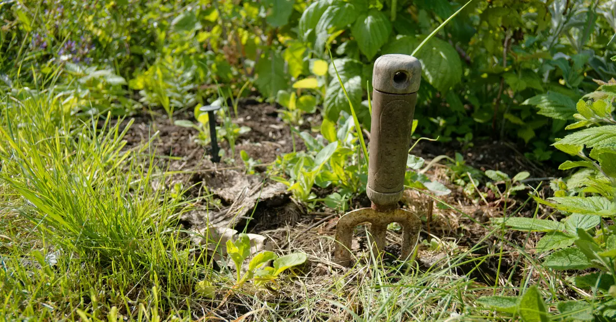 hand rake