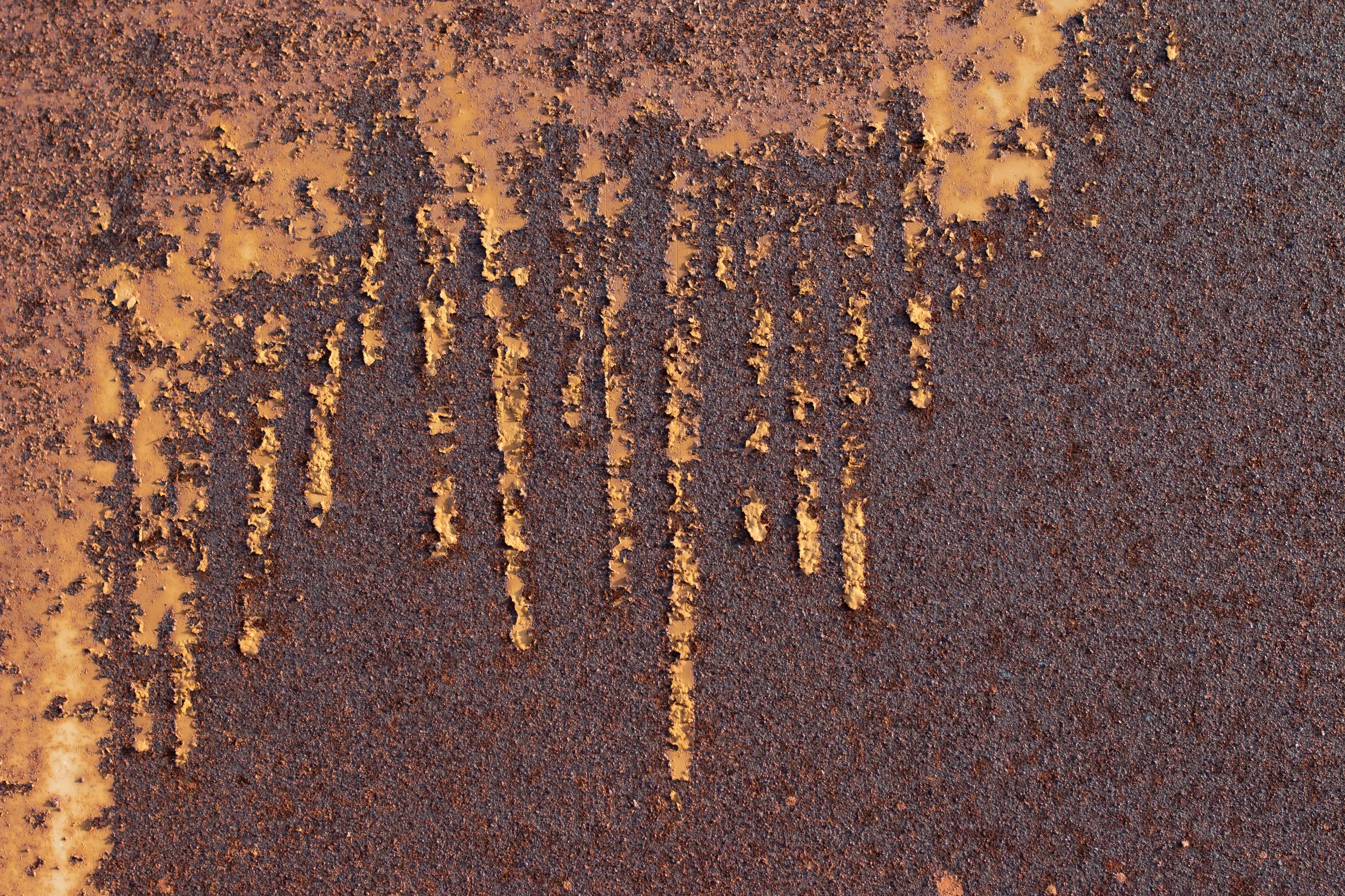 outdoor wall decorations metal Detailed image of a rusted metal surface with striking texture and color.