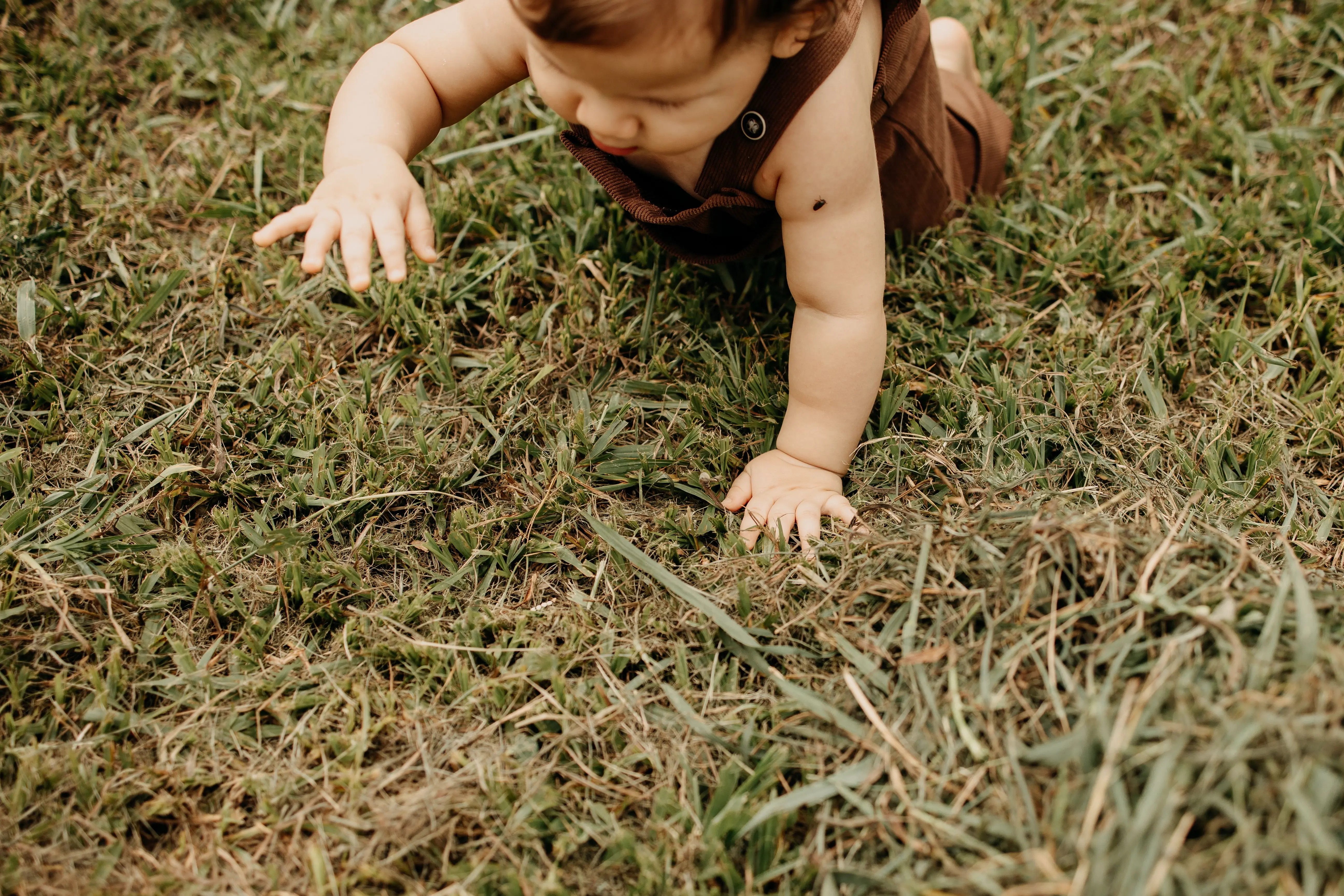 how to get grass stains out A cute baby in brown outfit crawling on grass, exploring nature outdoors.
