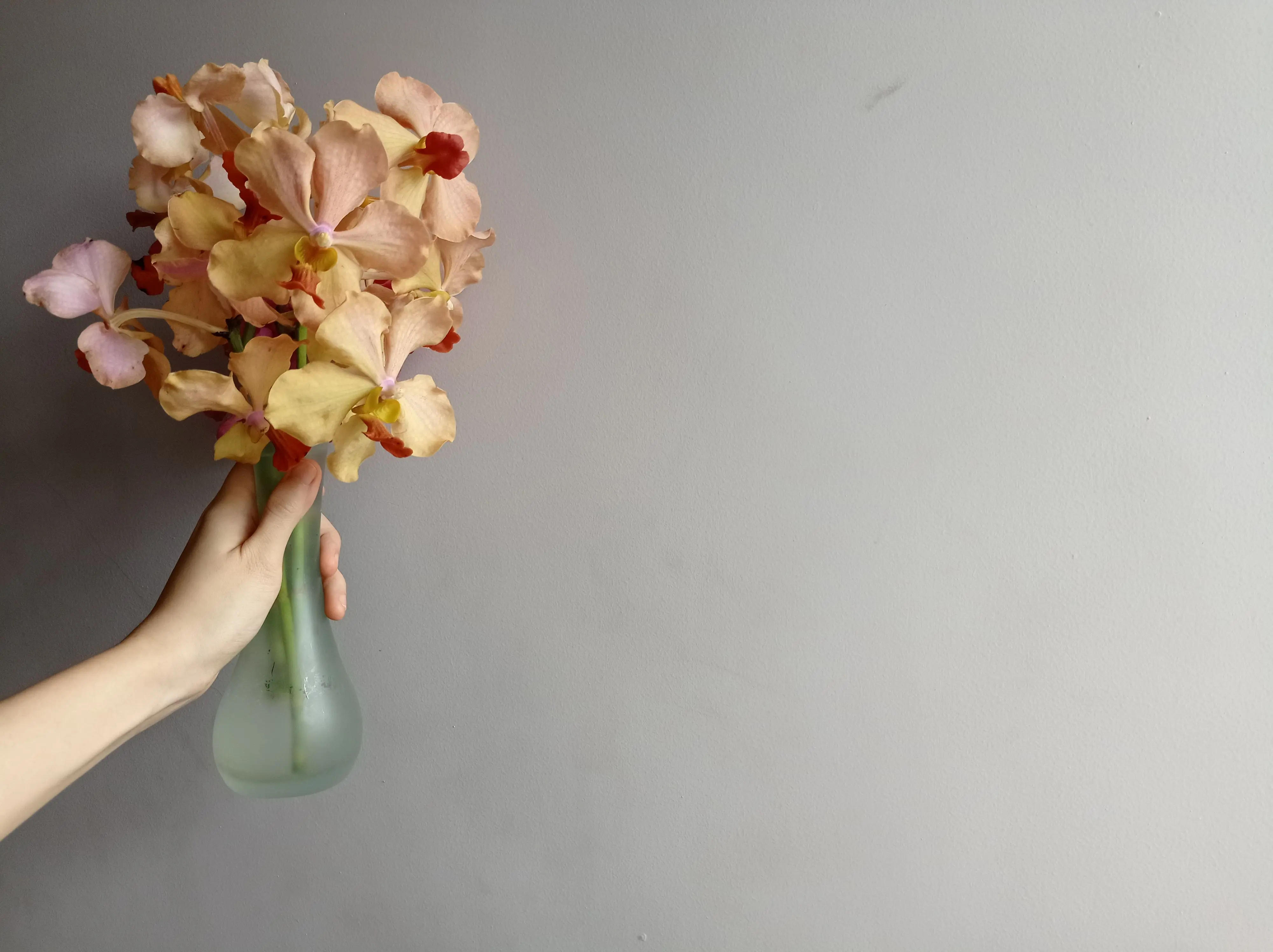 orchid arrangements A close-up of a hand holding a vase with delicate, vibrant orchids against a neutral background.