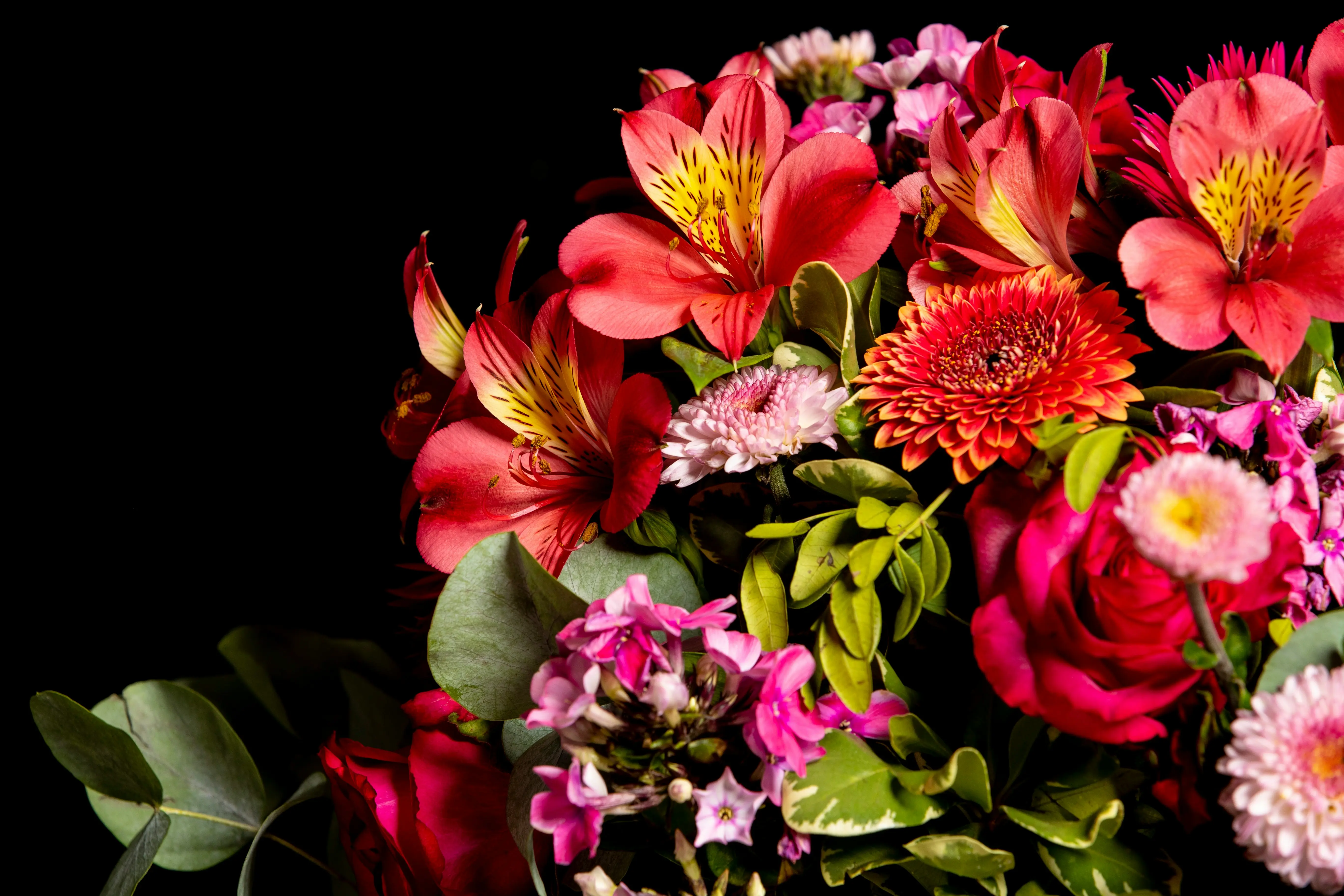 Huge Bouquet of Flowers : 7 Amazing Tips !