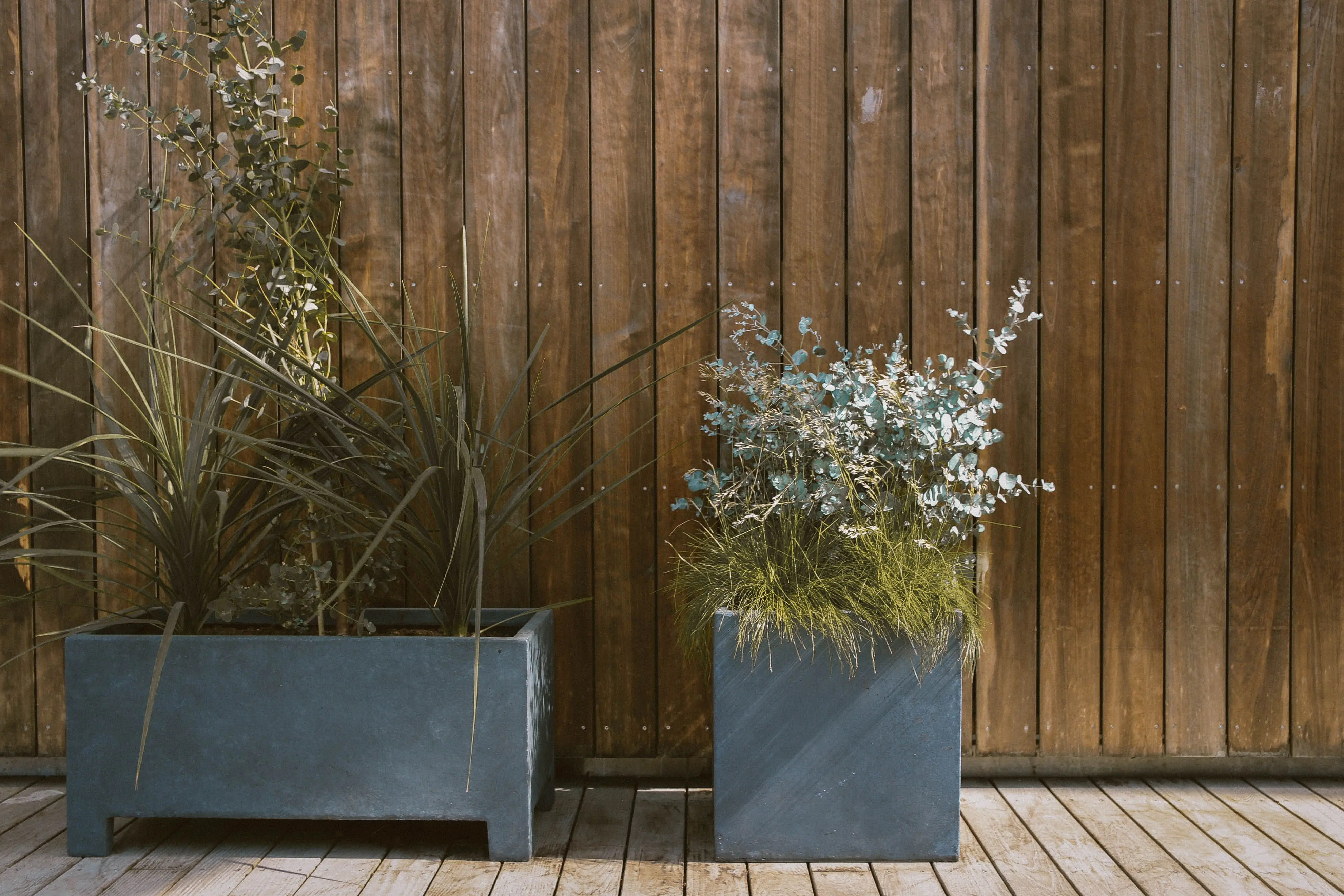 self watering garden Modern potted plants against a rustic wooden wall add a blend of nature and design.
