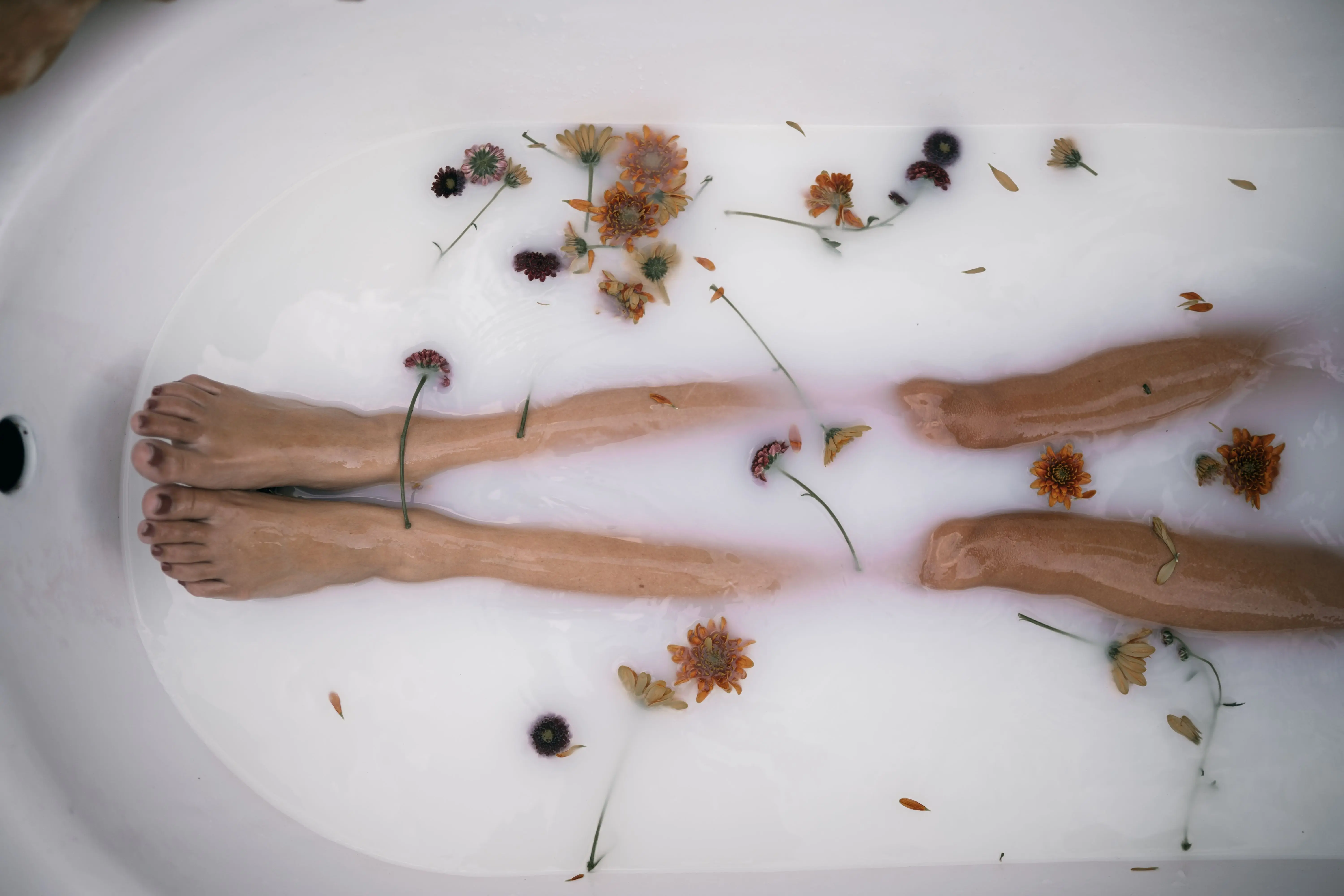 solar powered bird bath Serene bath scene with submerged legs and scattered flowers, creating a tranquil atmosphere.