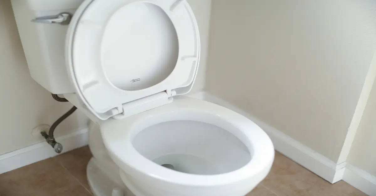 toilet flapper not sealing